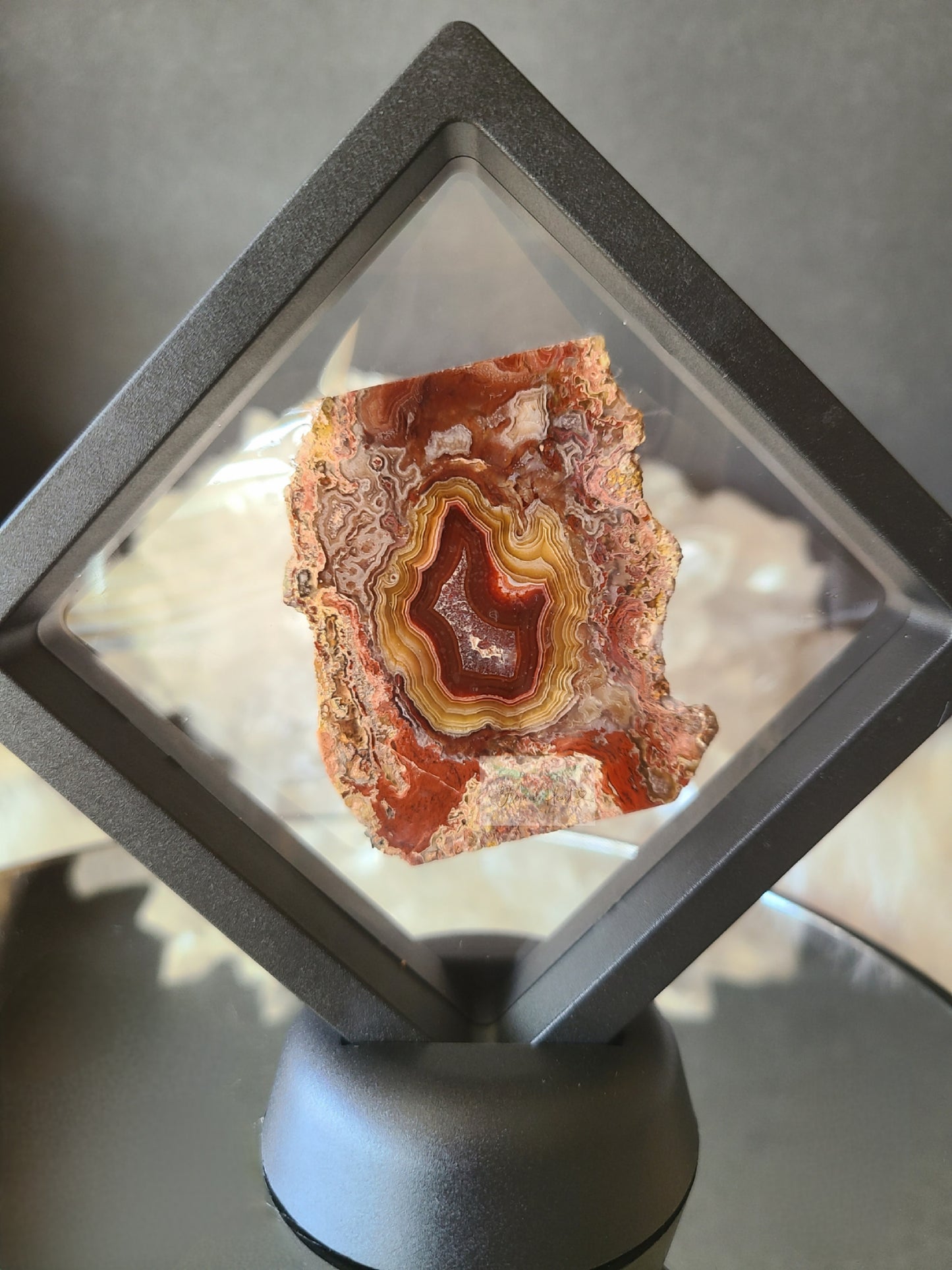 Collectors Red and Yellow Laguna Agate Slab