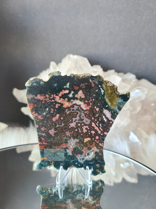 Colorful Ocean Jasper Slab