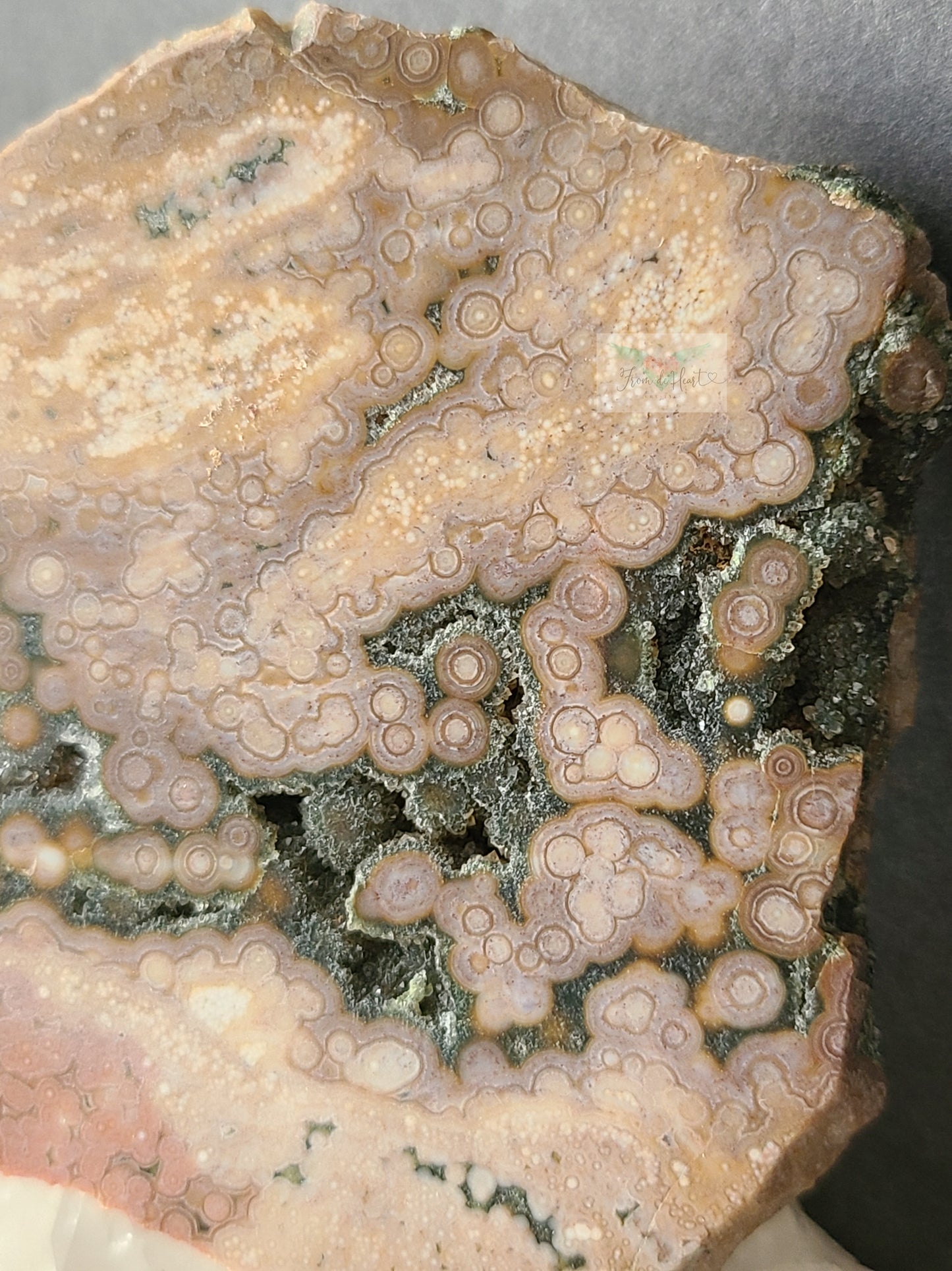 Pink Old Stock Ocean Jasper Slab