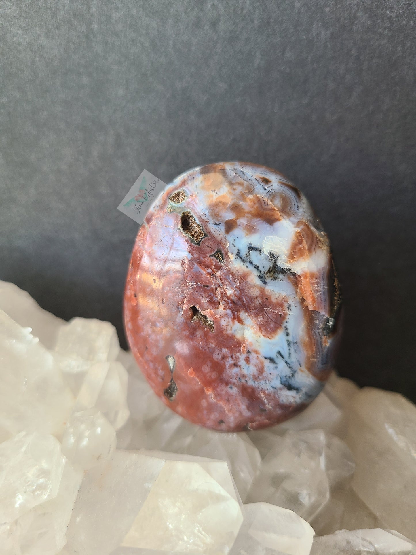 Ocean Jasper Palmstone