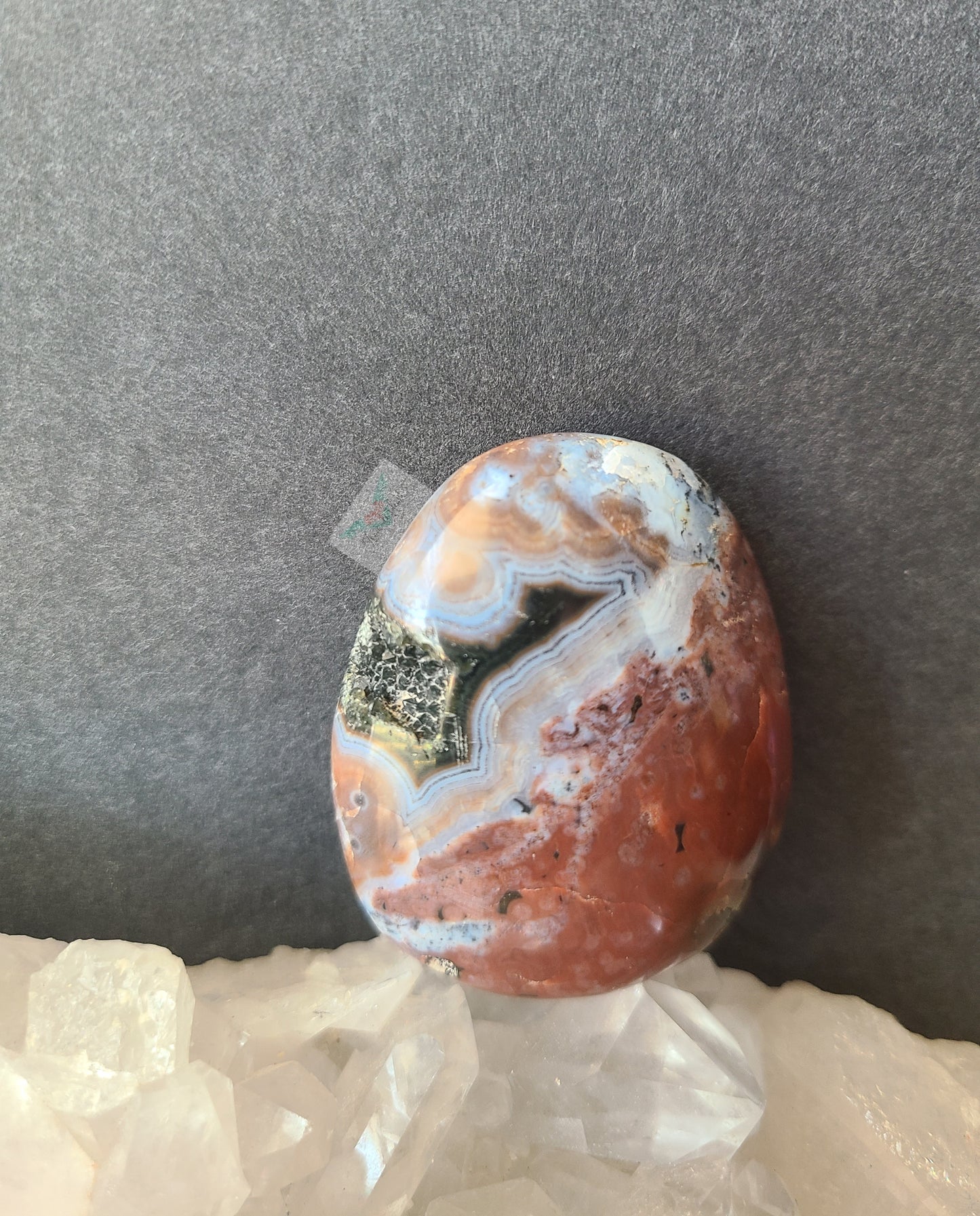 Ocean Jasper Palmstone