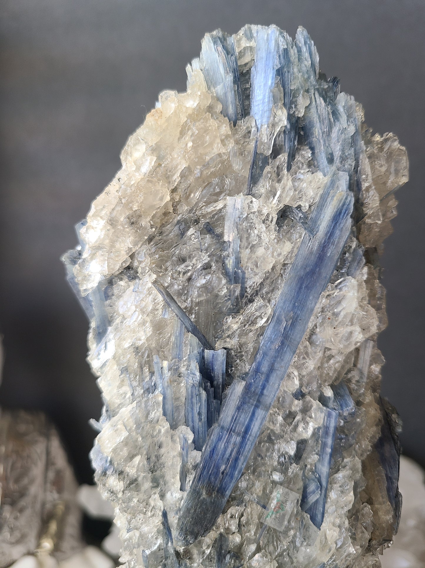 Blue Kyanite with Quartz on Stand