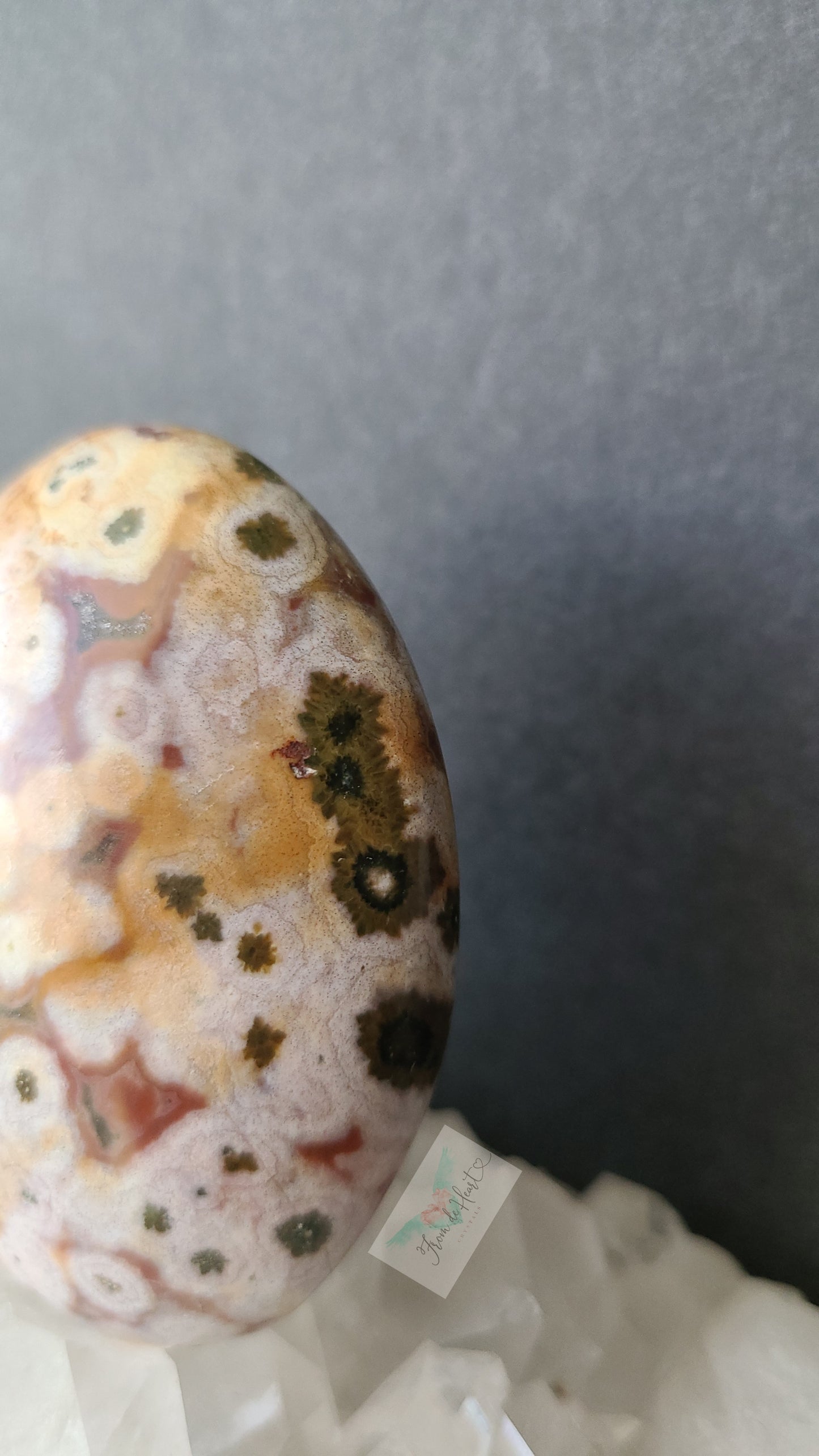 Unique Ocean Jasper Palmstone (RARE)