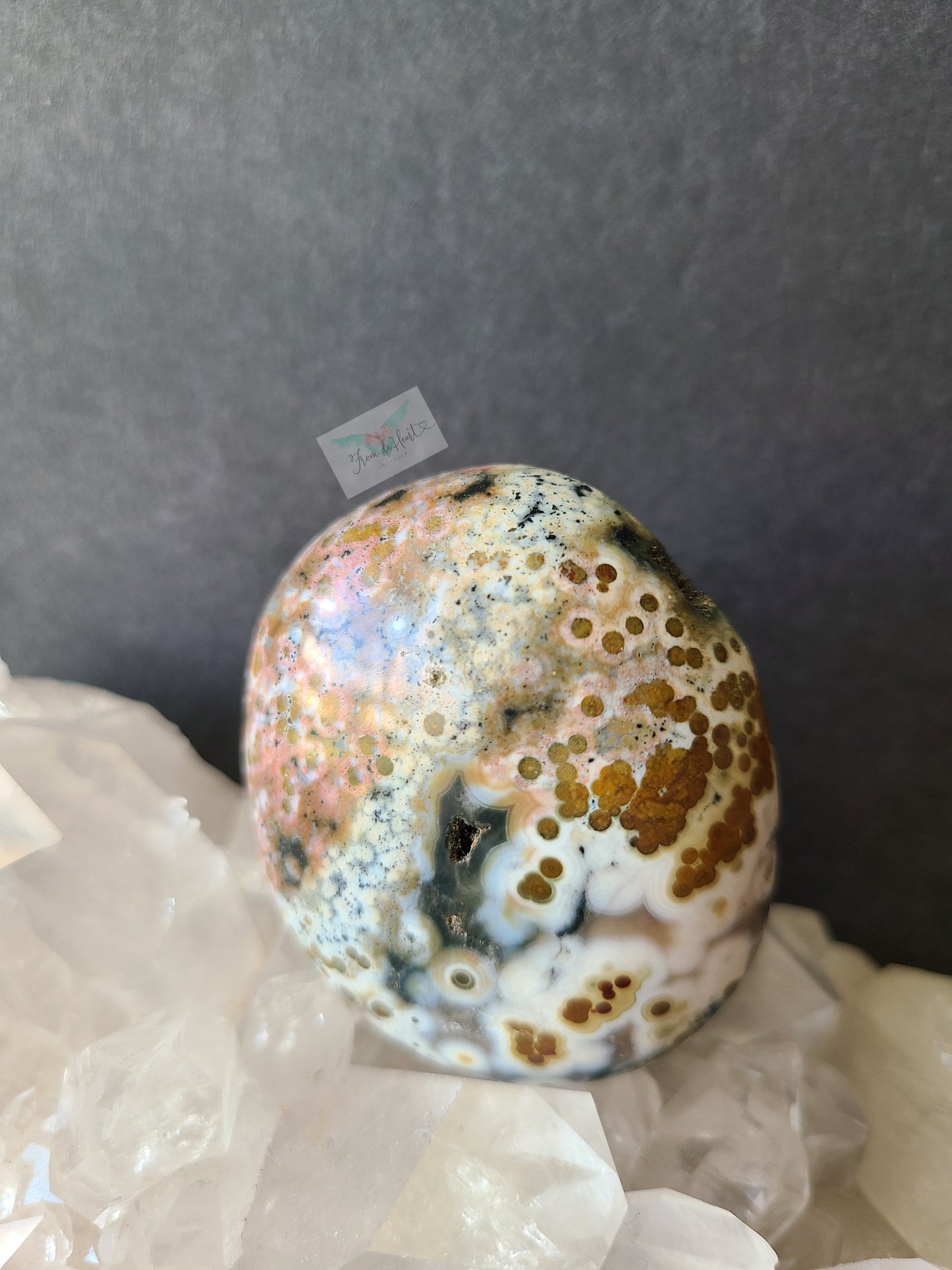 Ocean Jasper Palmstone