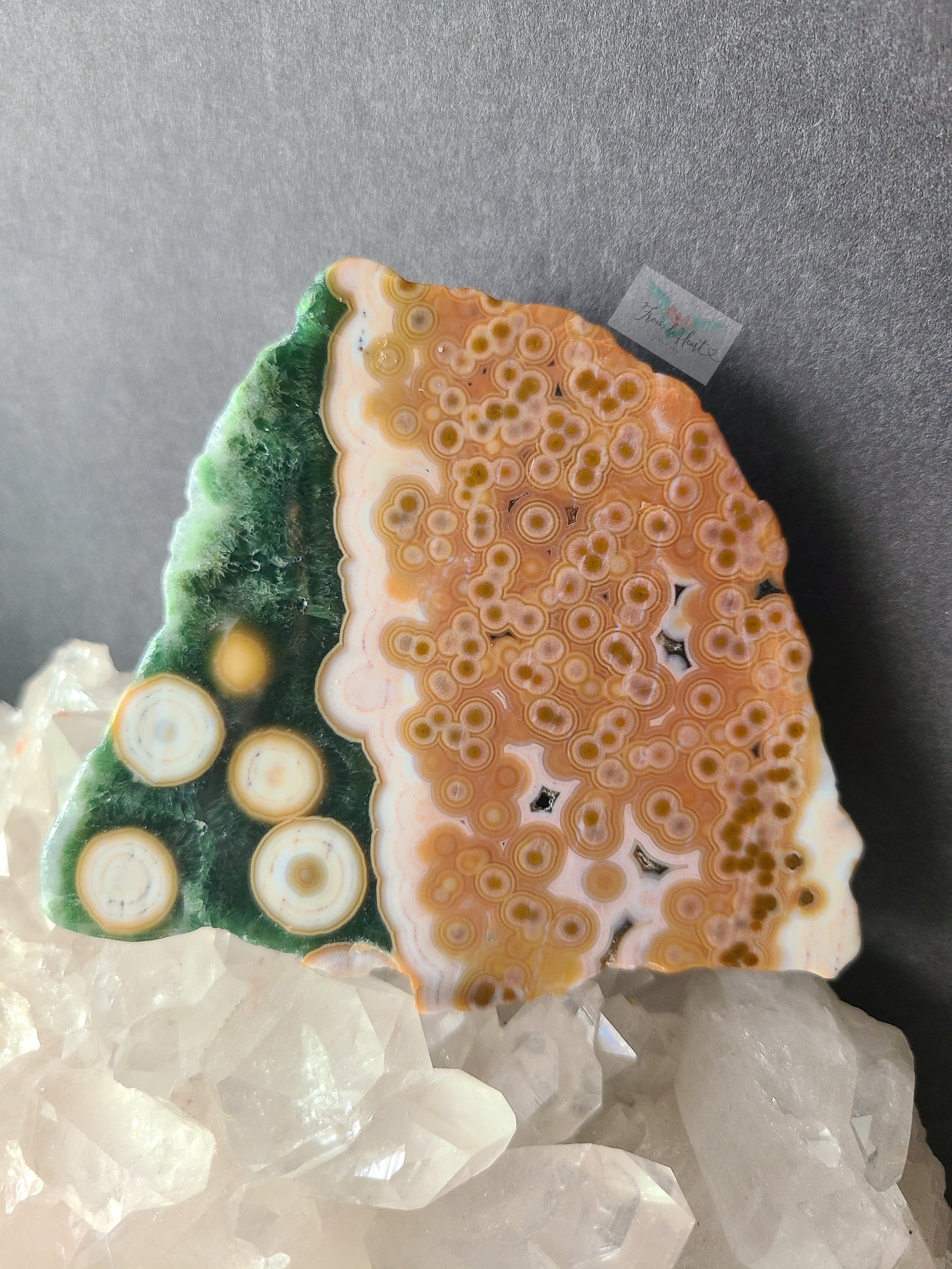 Ocean Jasper Slab