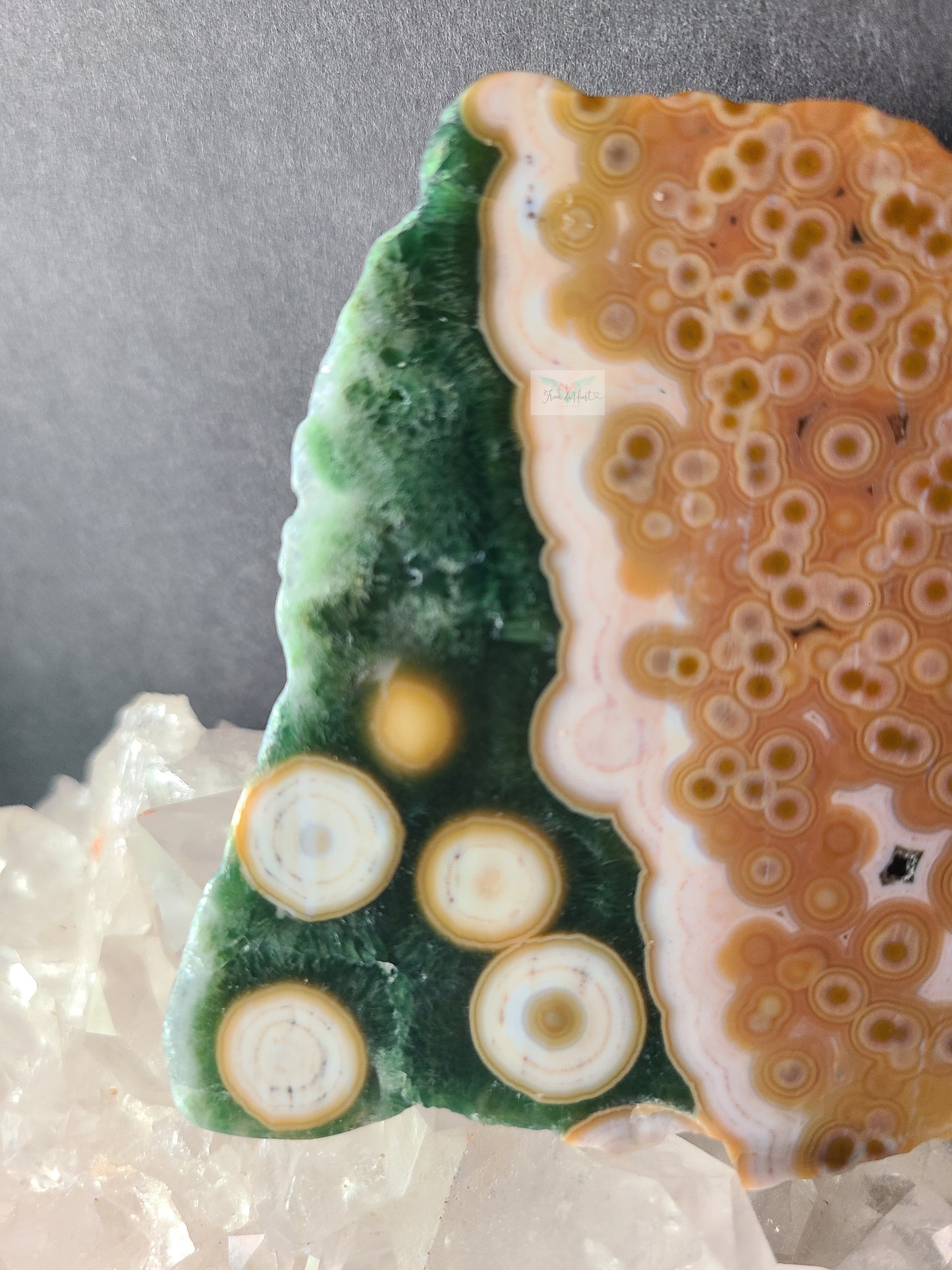 Ocean Jasper Slab