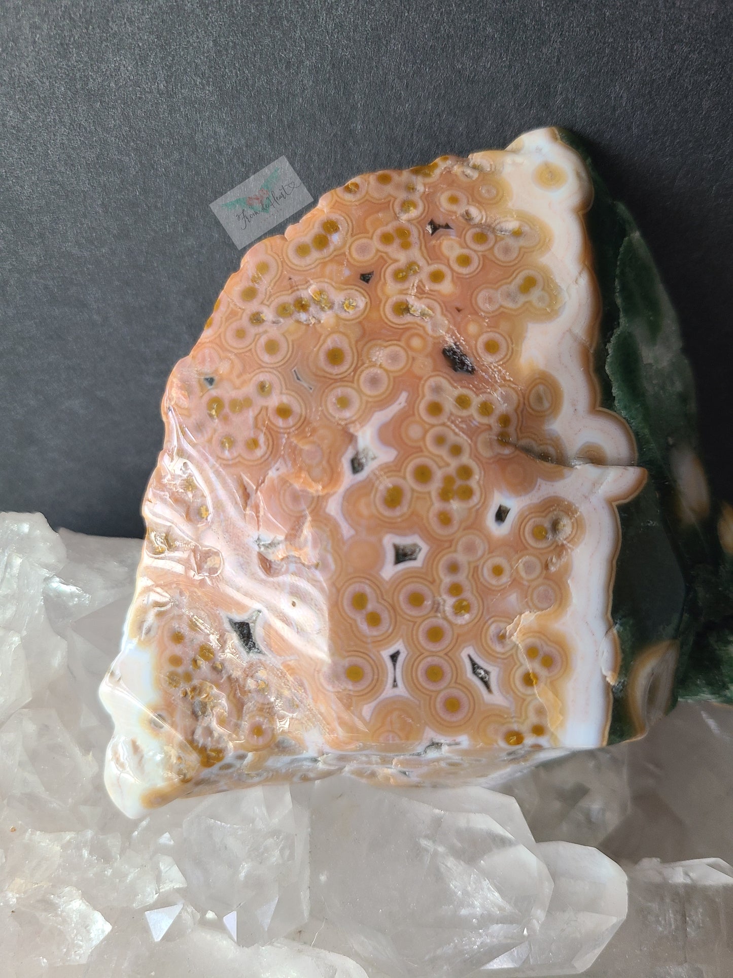 Ocean Jasper Slab