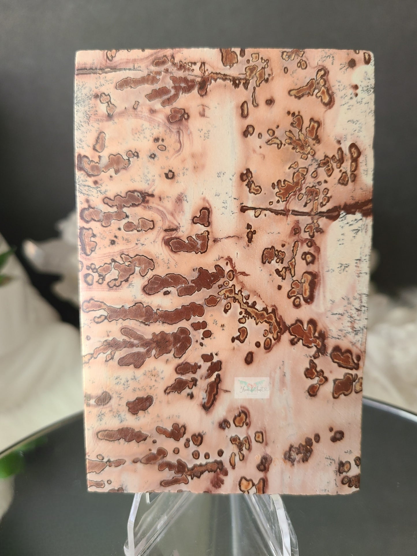 Dendritic Picture Jasper Slab (A)