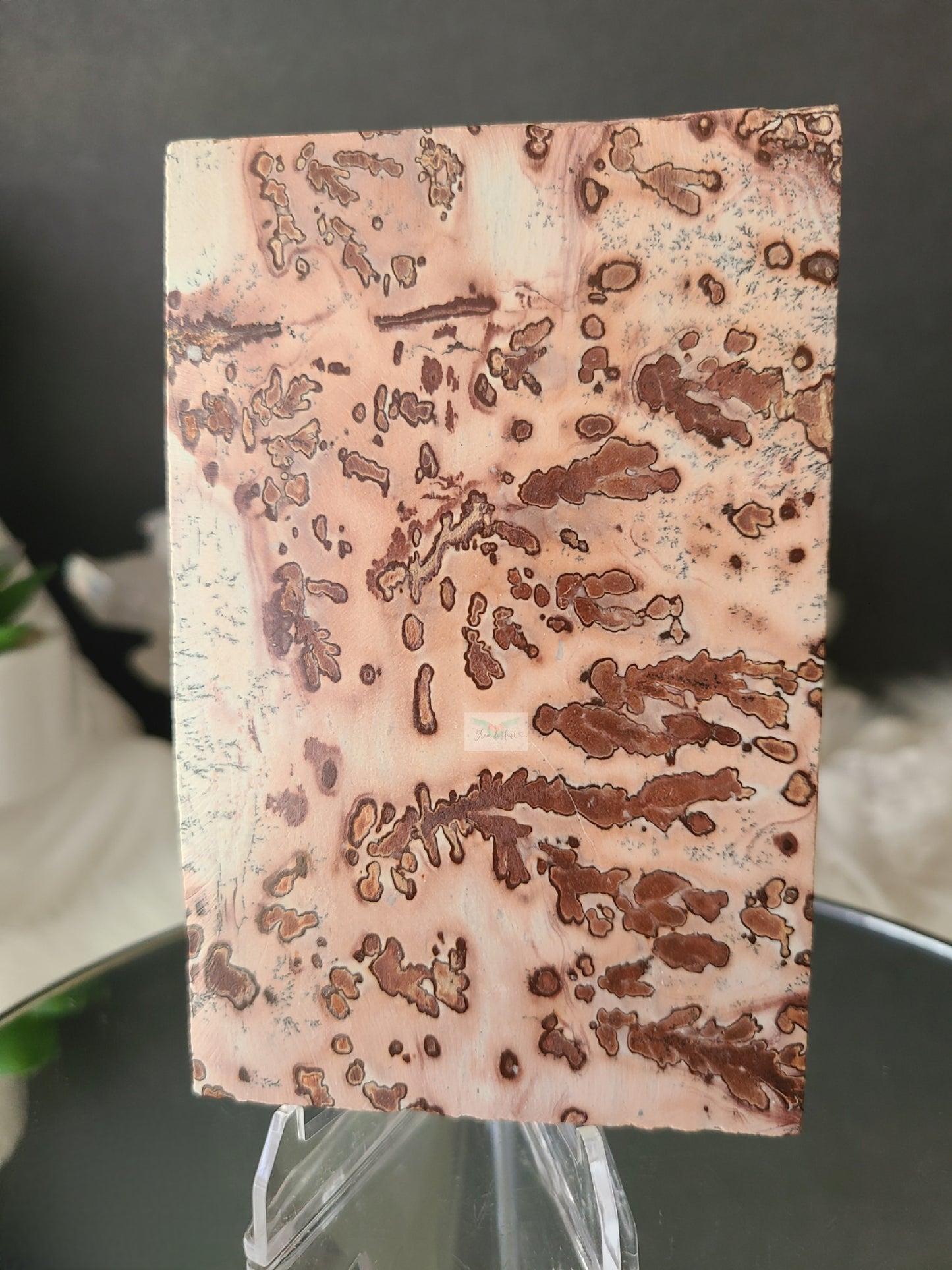 Dendritic Picture Jasper Slab (A)