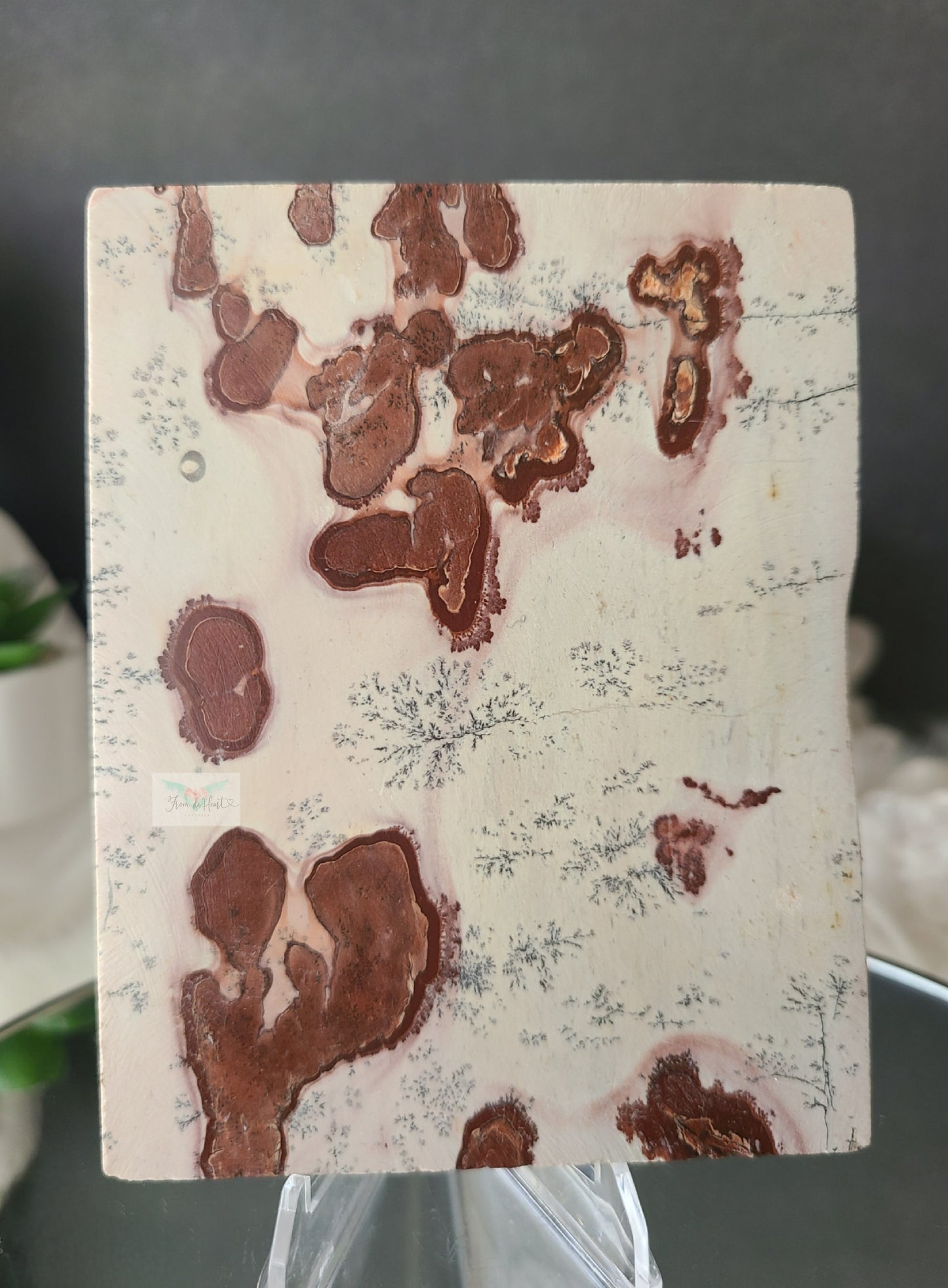 Dendritic Picture Jasper Slab (B)