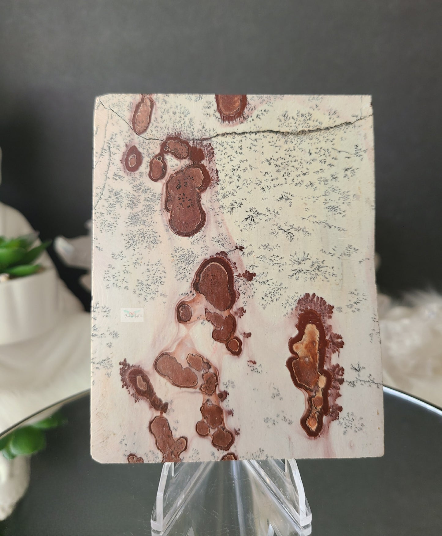 Dendritic Picture Jasper Slab (B)