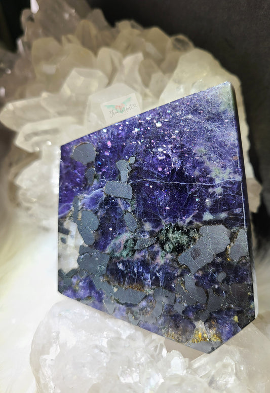 Iolite with Hematite and Quartz Slab (RARE FIND)