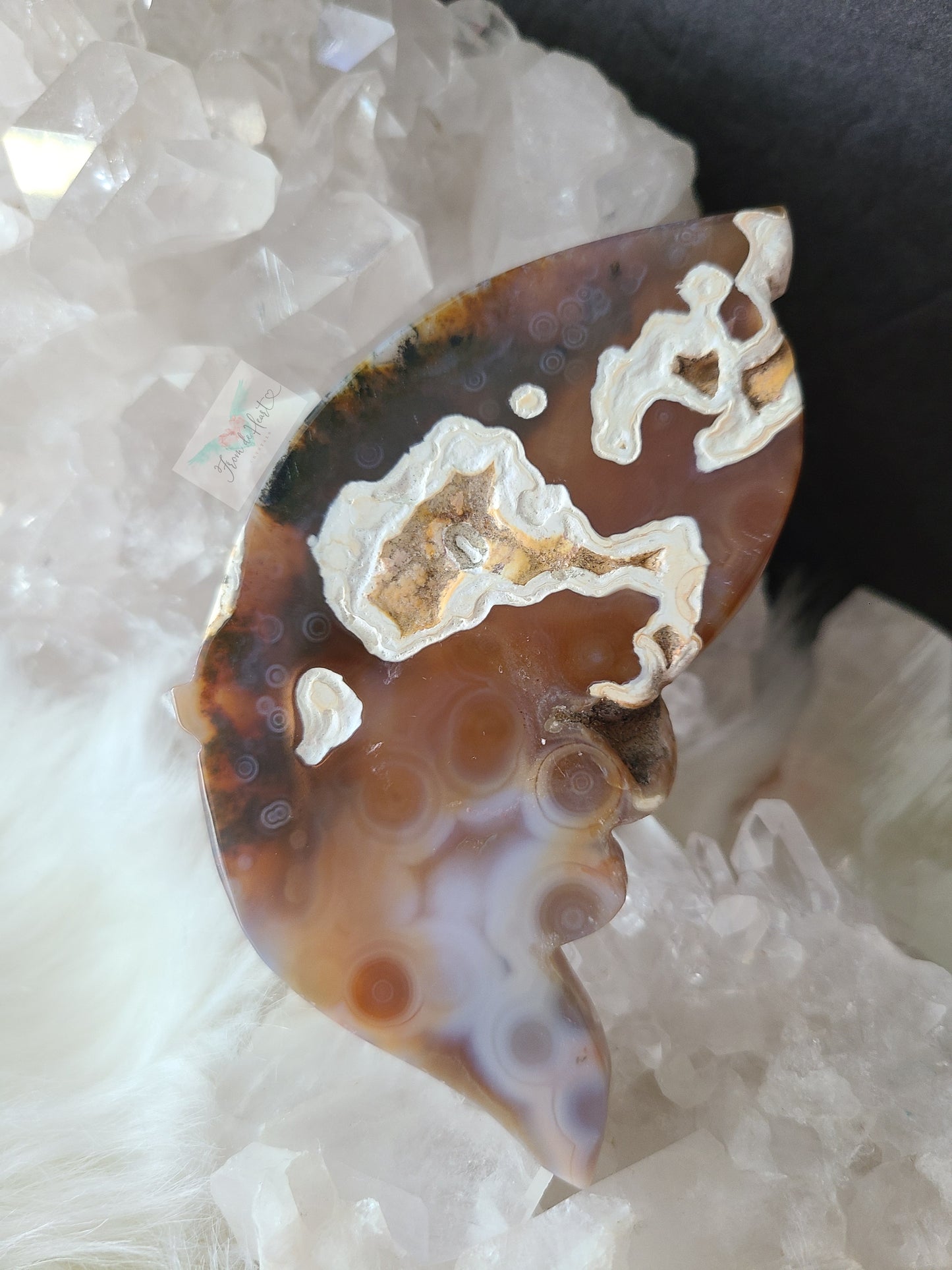 Ocean Jasper Wings on Stand (F23)