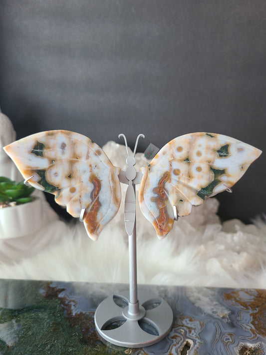 Ocean Jasper Wings on Stand (F24)