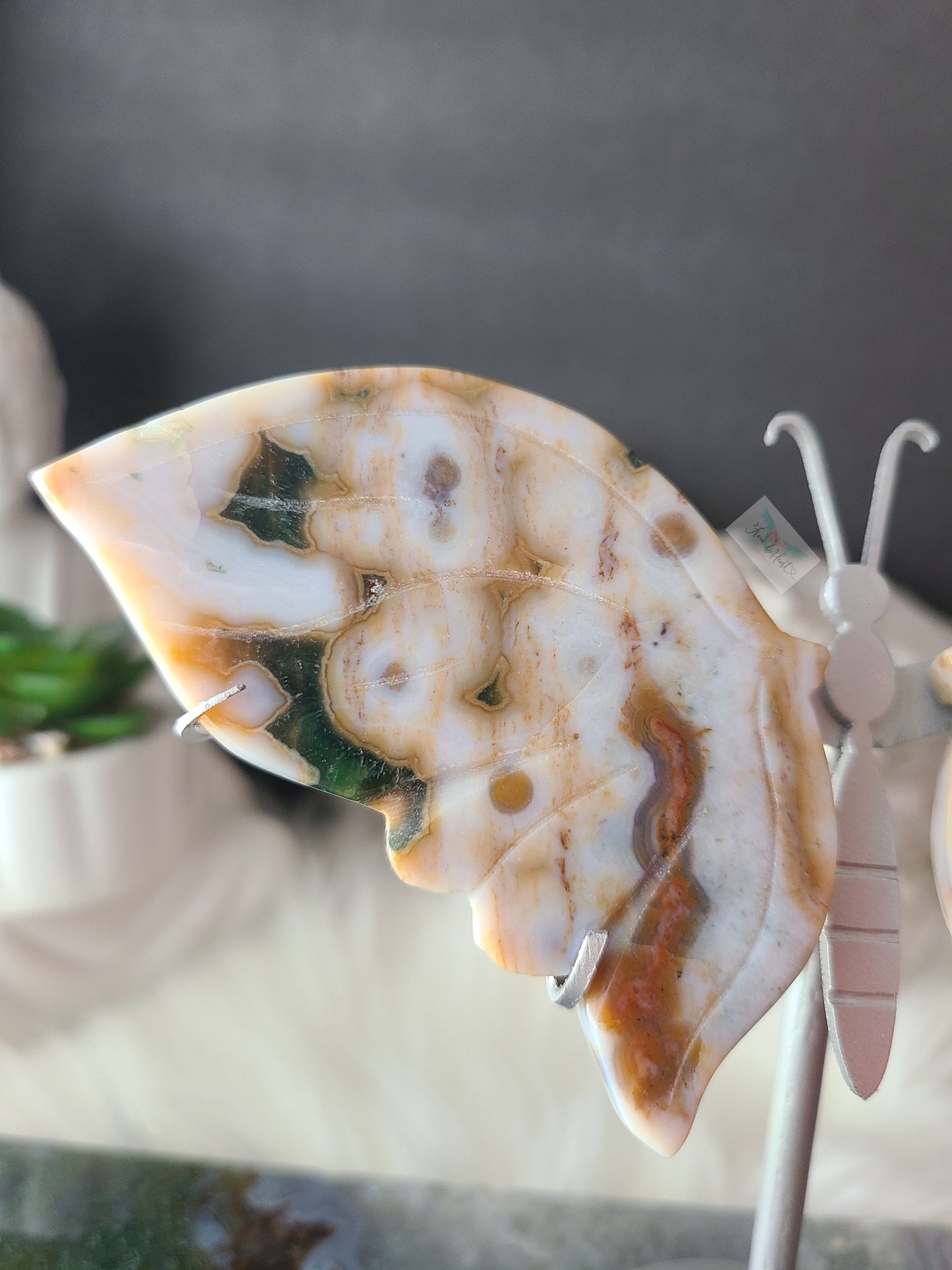 Ocean Jasper Wings on Stand (F24)