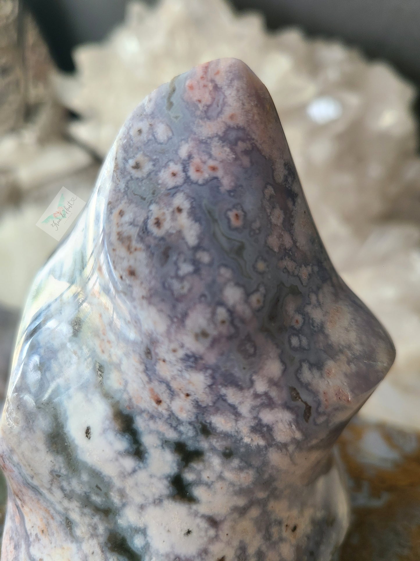 Floral Pattern Ocean Jasper Flame with Quartz (Rare Find)