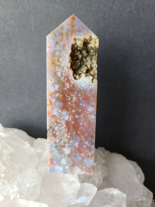 Orbicular Ocean Jasper