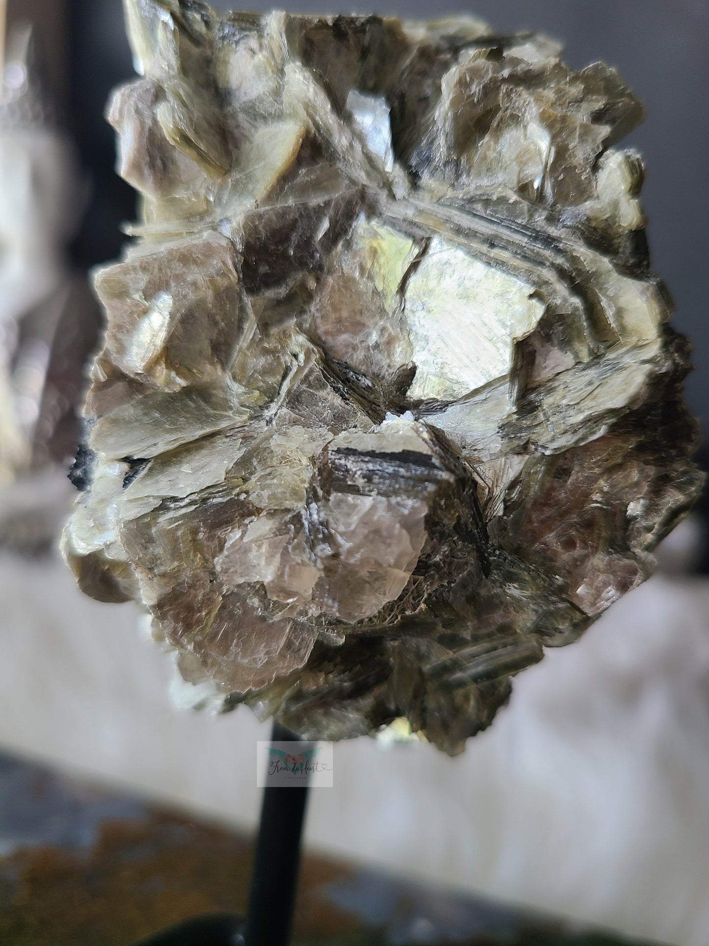 Golden Mica with Tourmaline on Pin Stand