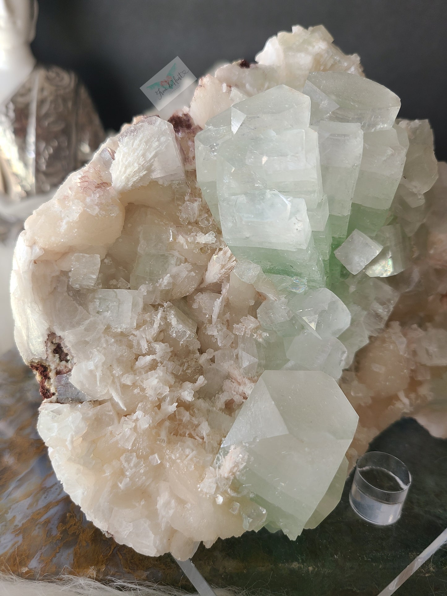 Green Apophyllite with Scolecite Specimen (Statement Piece)