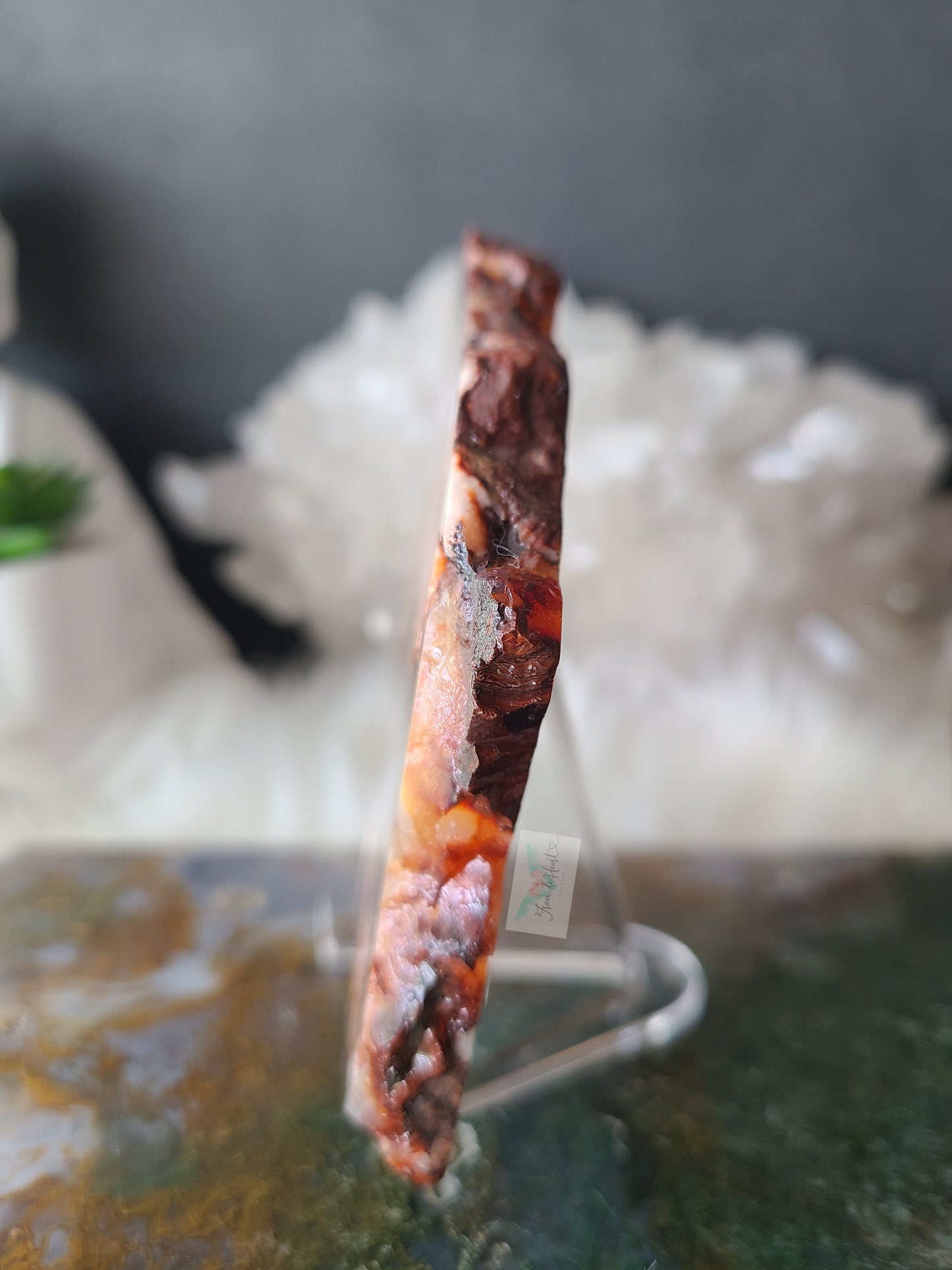 Carnelian Flower Agate Slabs (B)