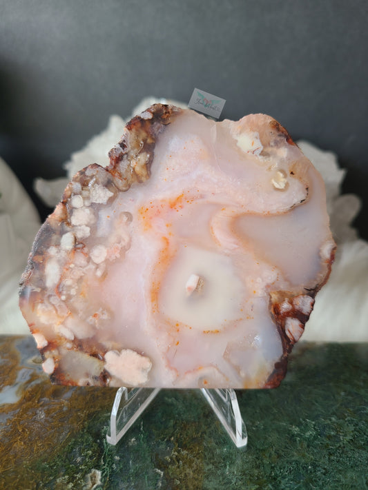 Carnelian Flower Agate Slabs (C)