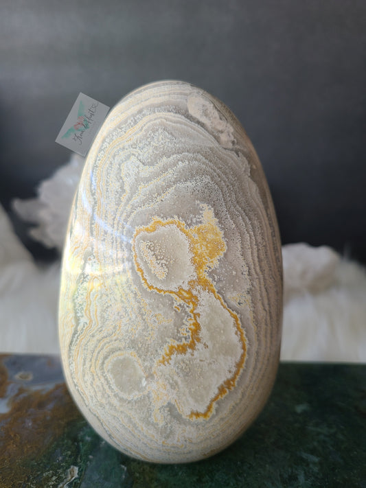 Orbicular Jasper Ocean Jasper Freeform