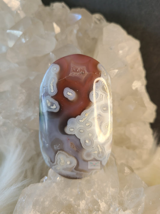 Orbicular Swazi Agate A (RARE FIND)