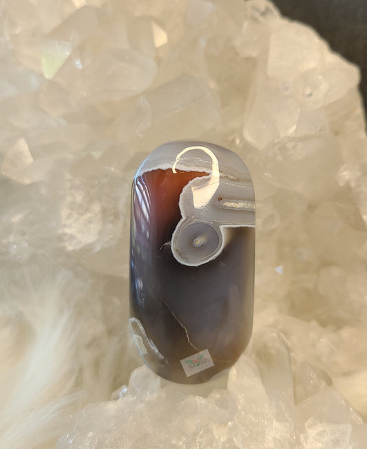 Orbicular Swazi Agate C (RARE FIND)