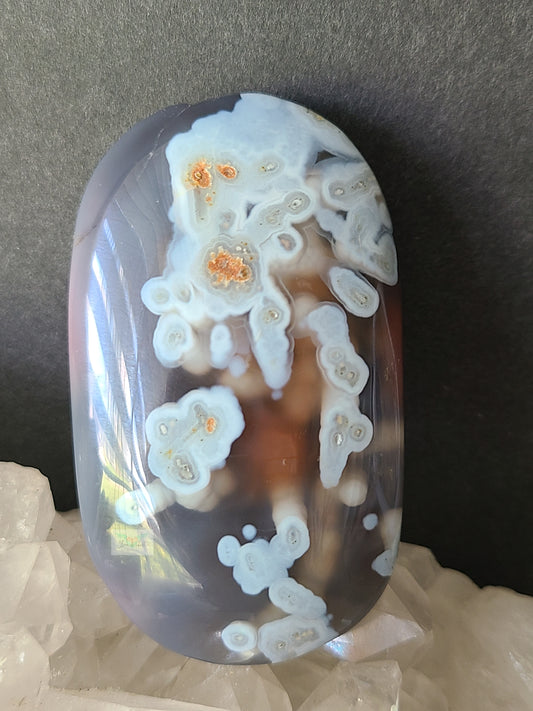 Orbicular Swazi Agate B (RARE FIND)