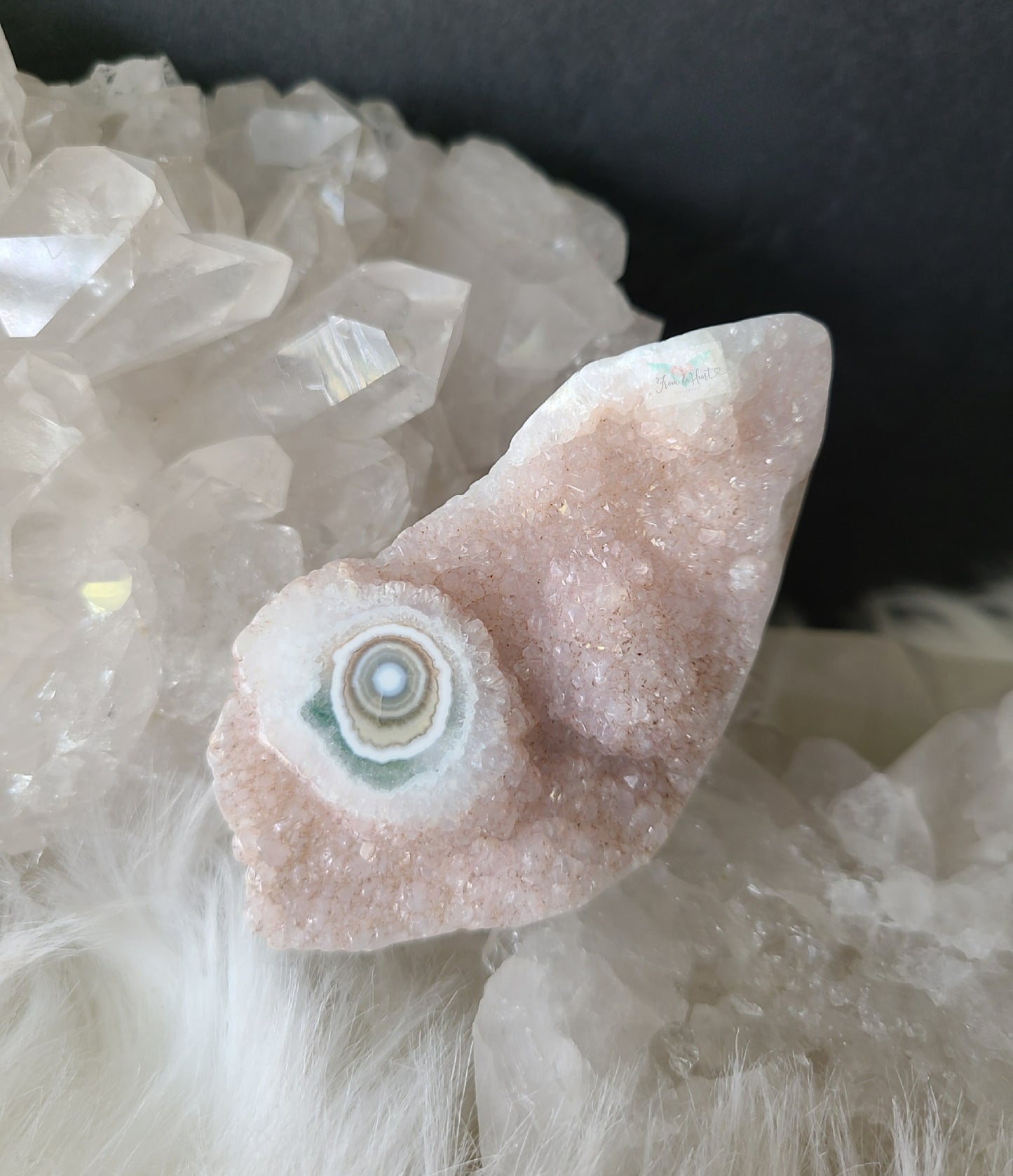 Eight Vein Ocean Jasper Free form