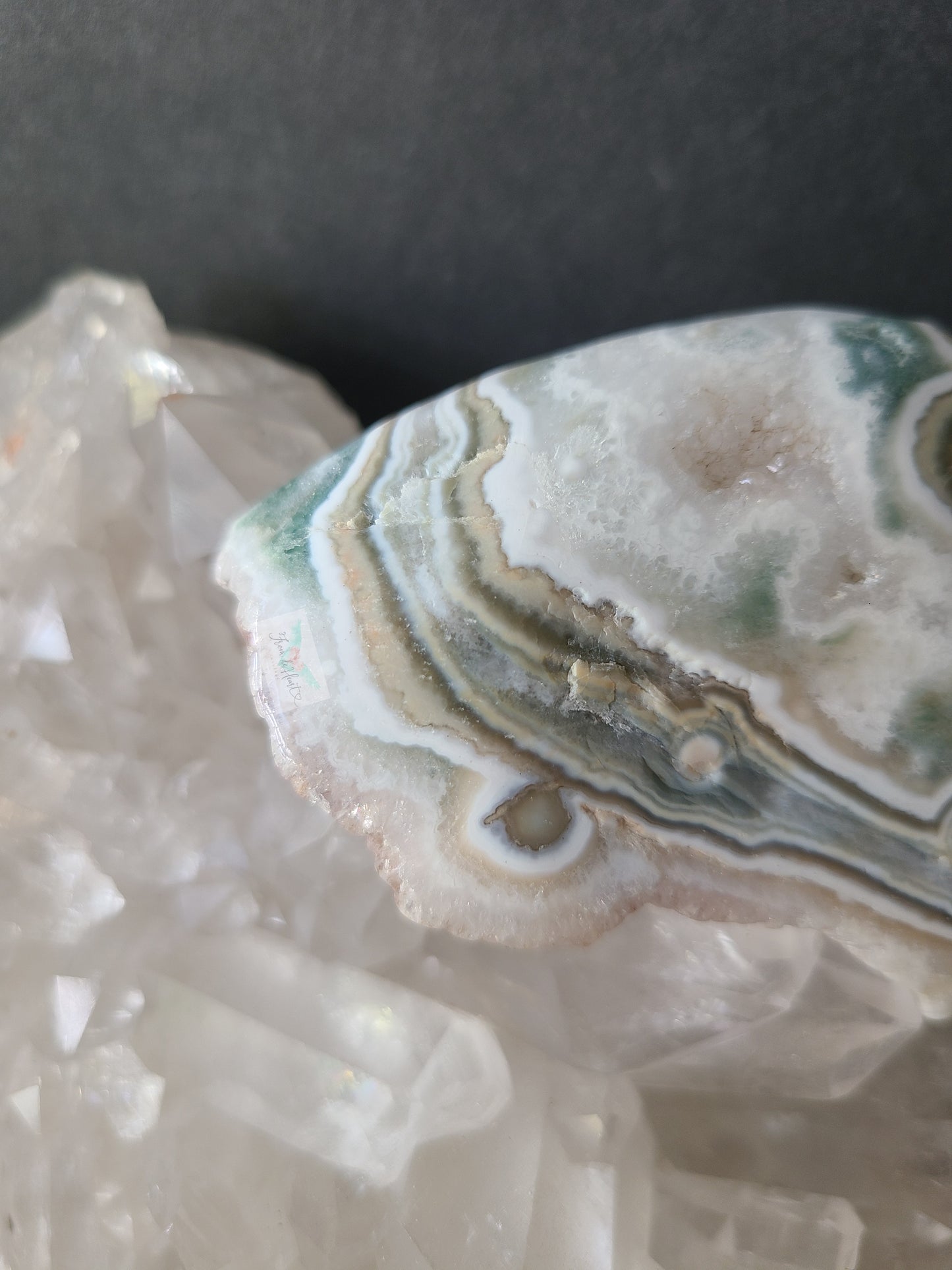 Eight Vein Ocean Jasper Free form