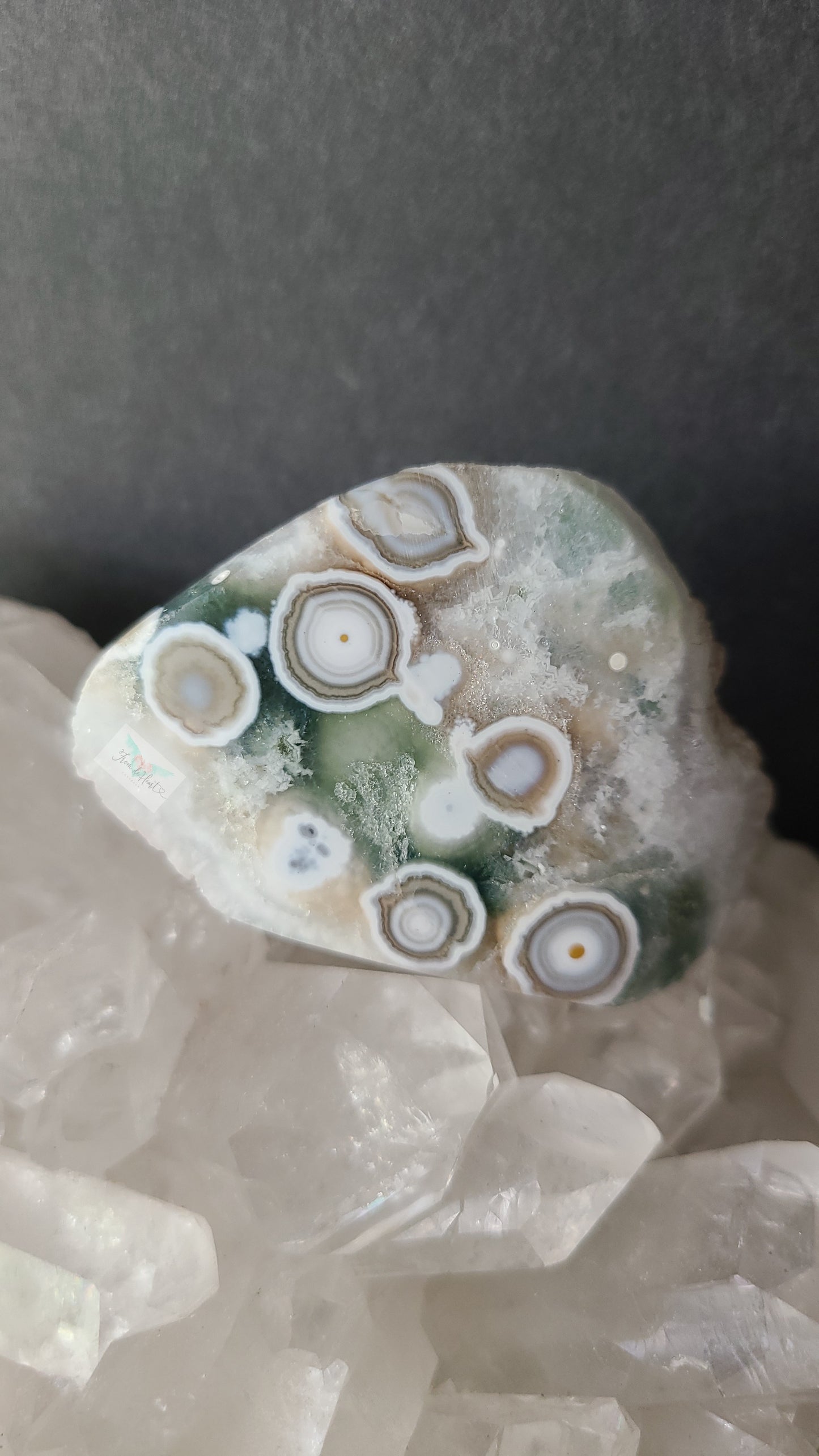 Eight Vein Ocean Jasper Free form
