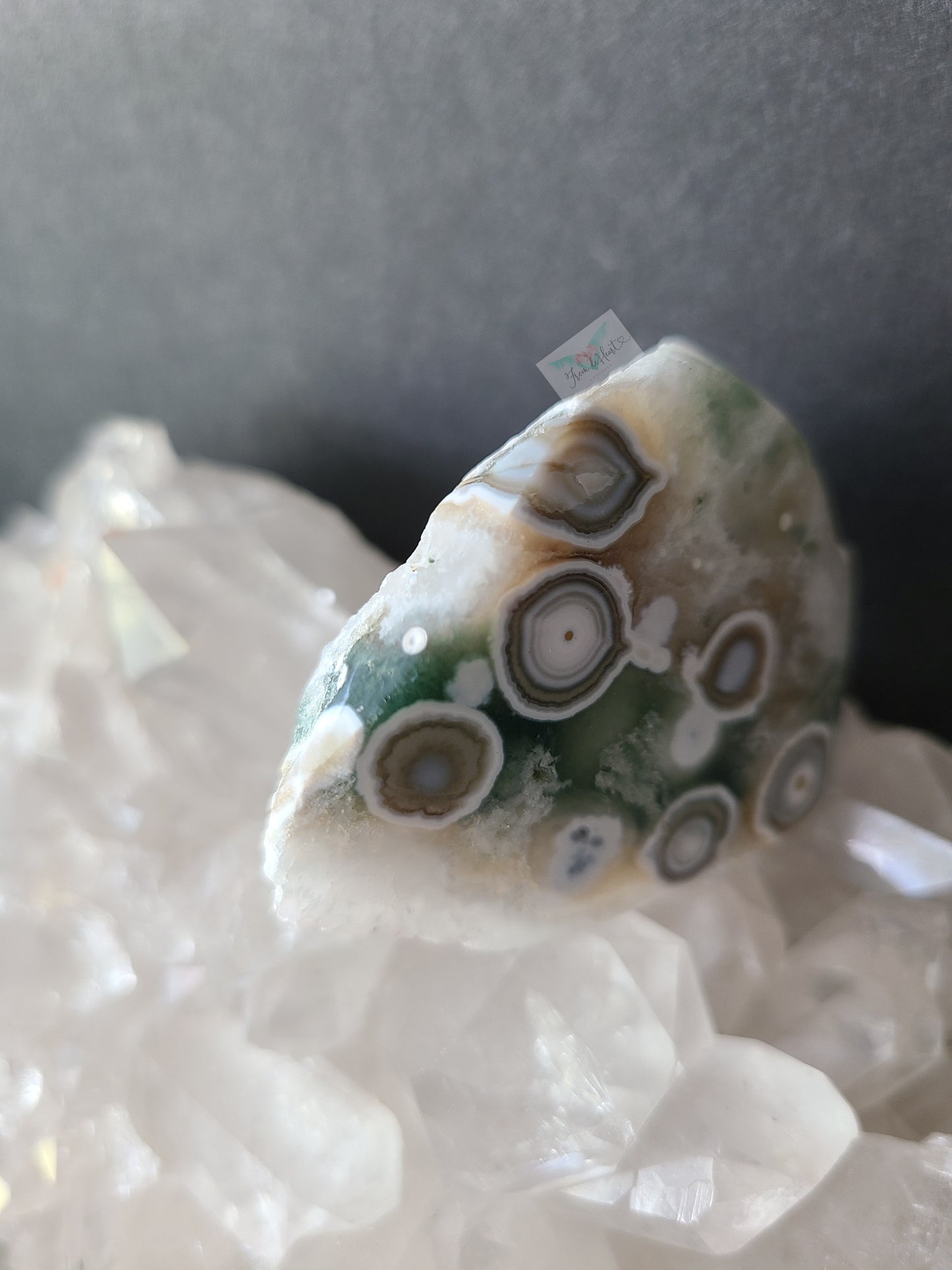 Eight Vein Ocean Jasper Free form