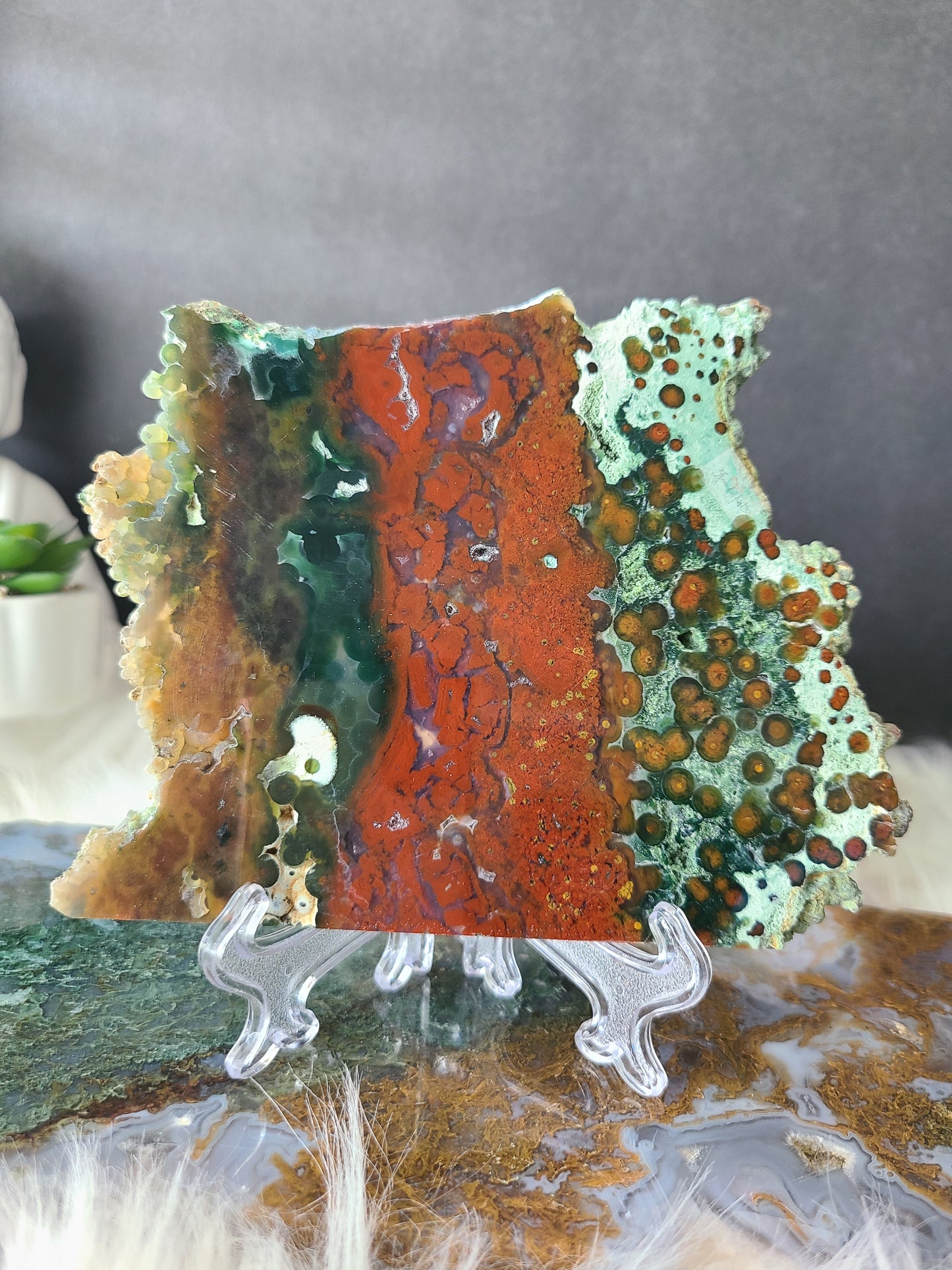 Red Oribicular Ocean Jasper Slab