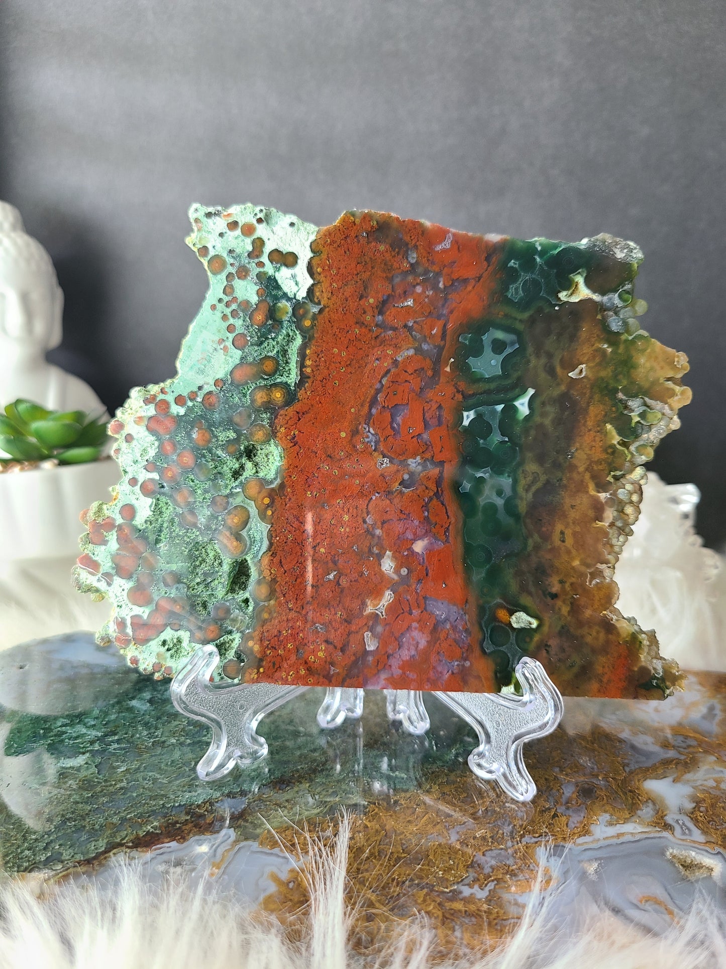 Red Oribicular Ocean Jasper Slab