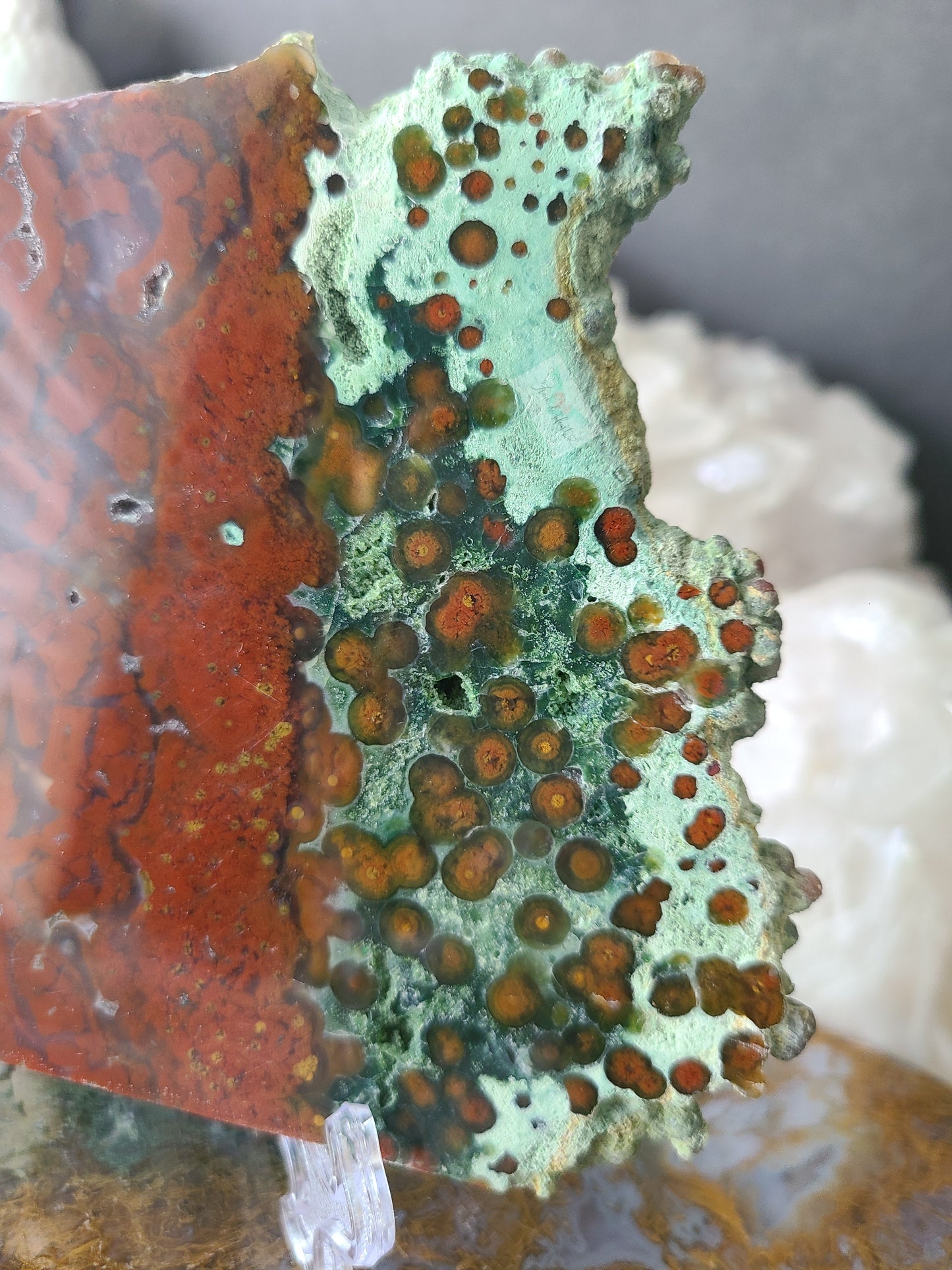 Red Oribicular Ocean Jasper Slab