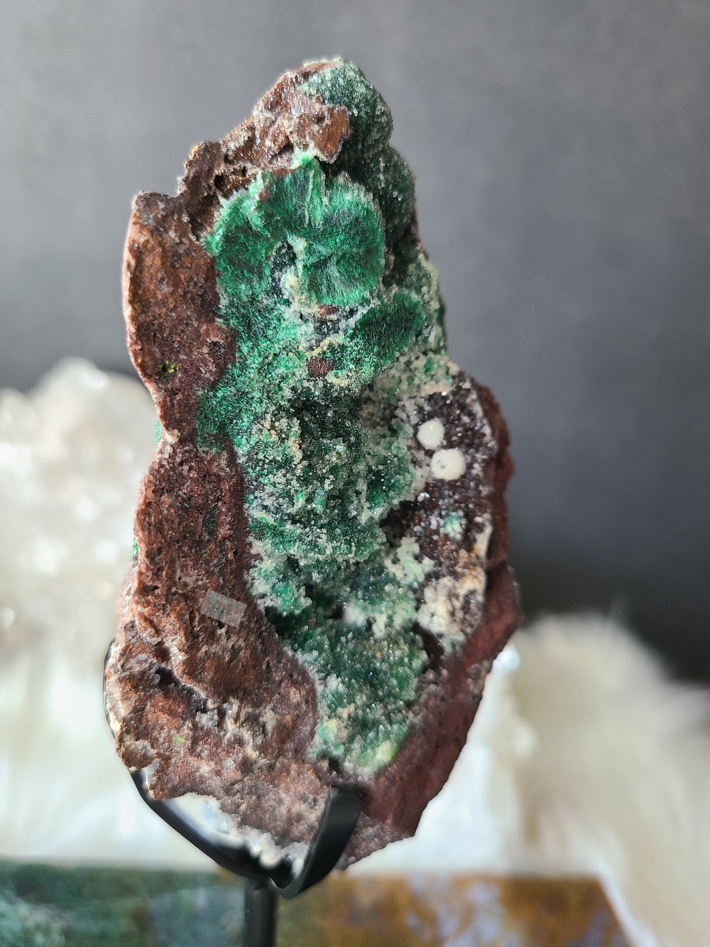 Malachite and Sphalerite Specimen on Stand (RARE)
