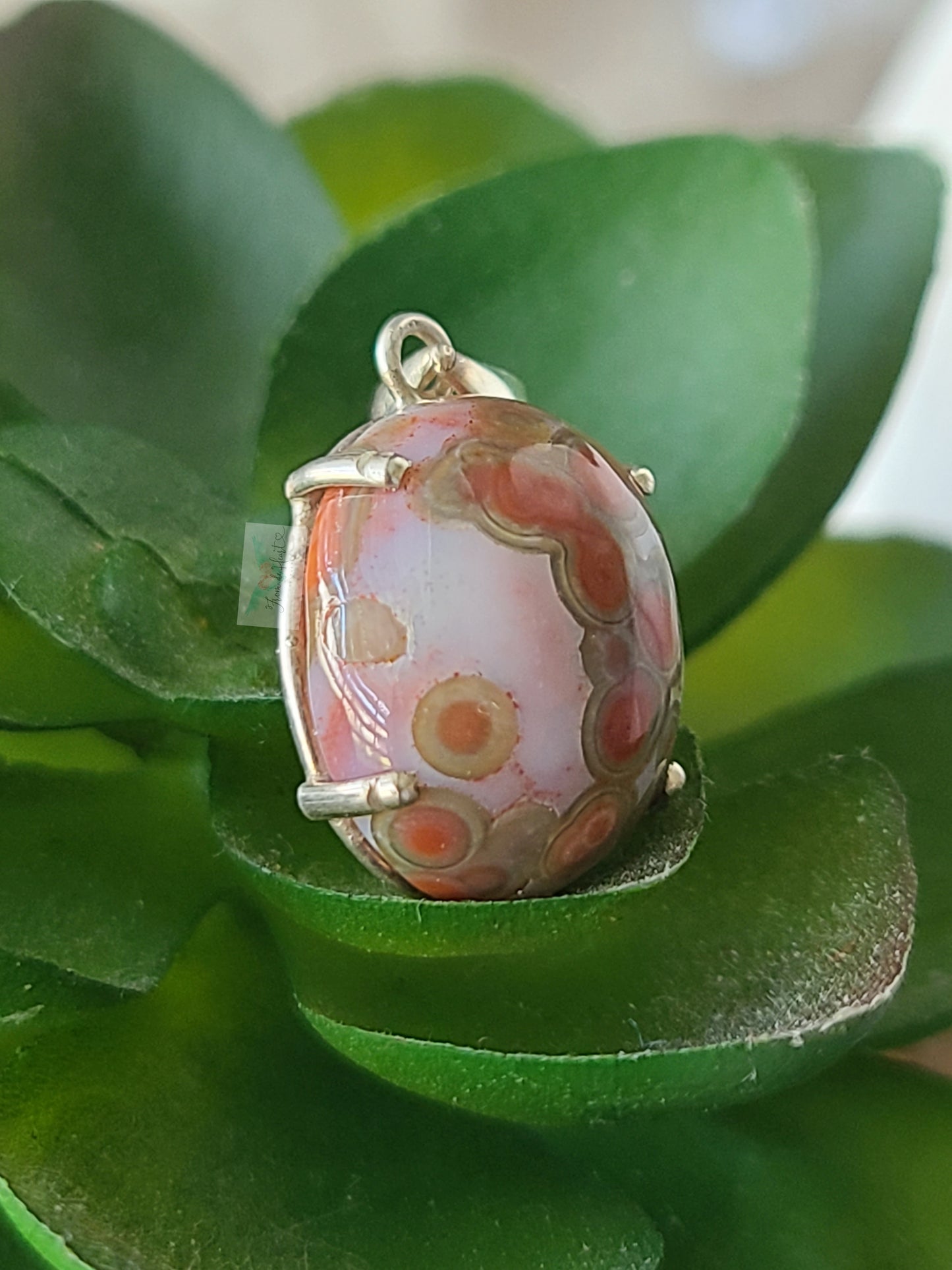 Ocean Jasper 925 Silver Pendant (B)