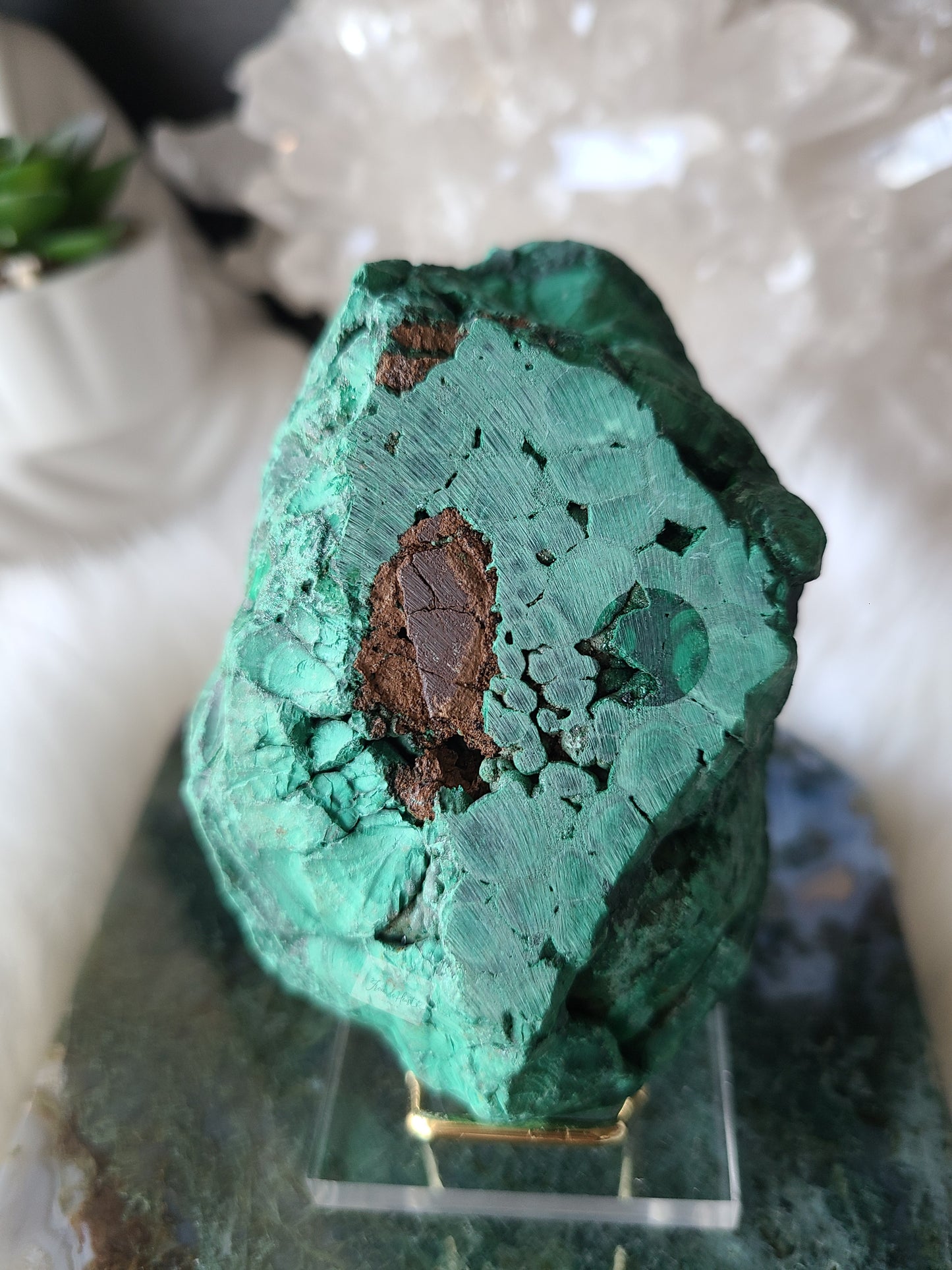 Semi-Polished Malachite Freeform (A)