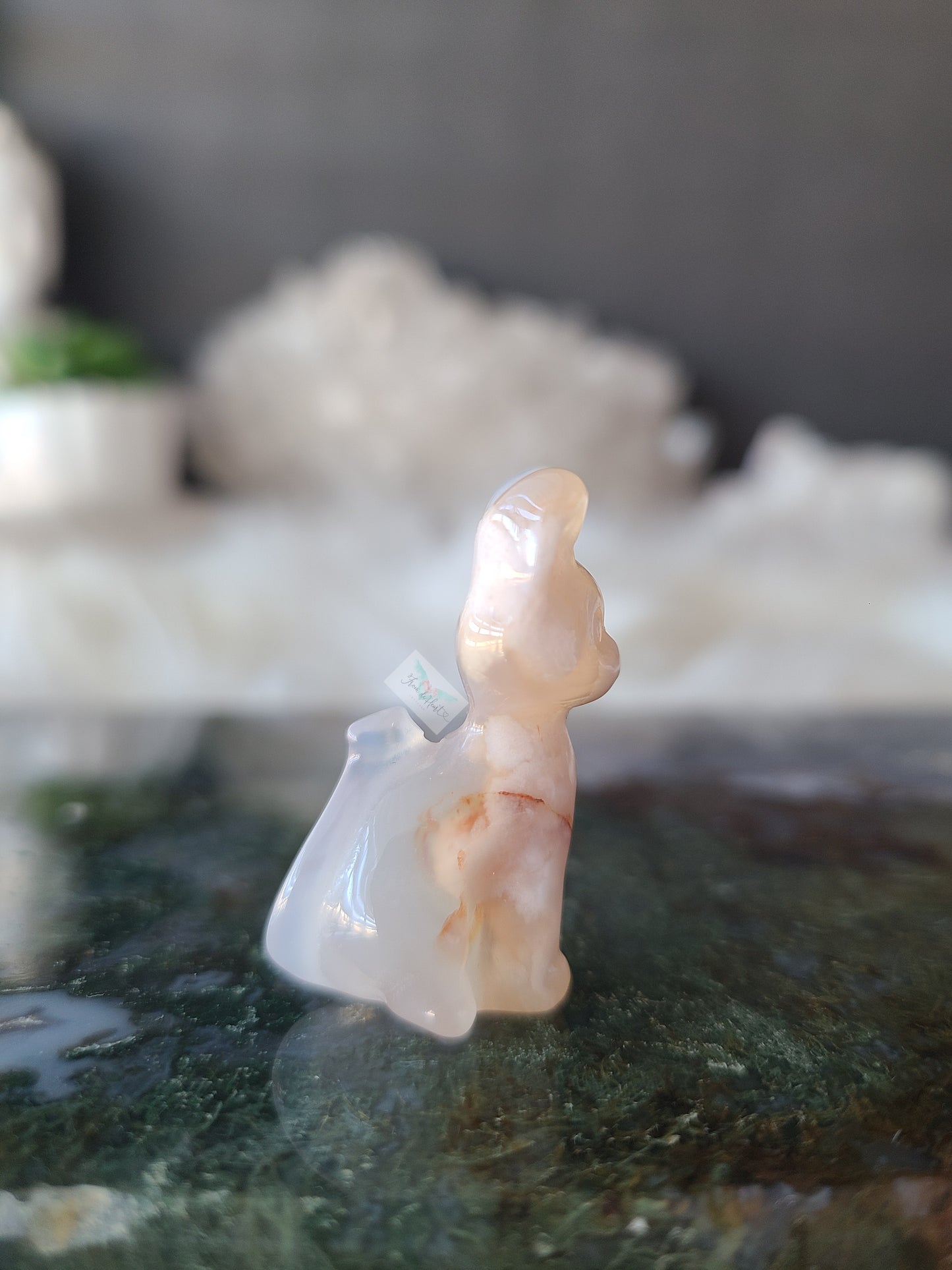 Flower Agate Kitten (A)