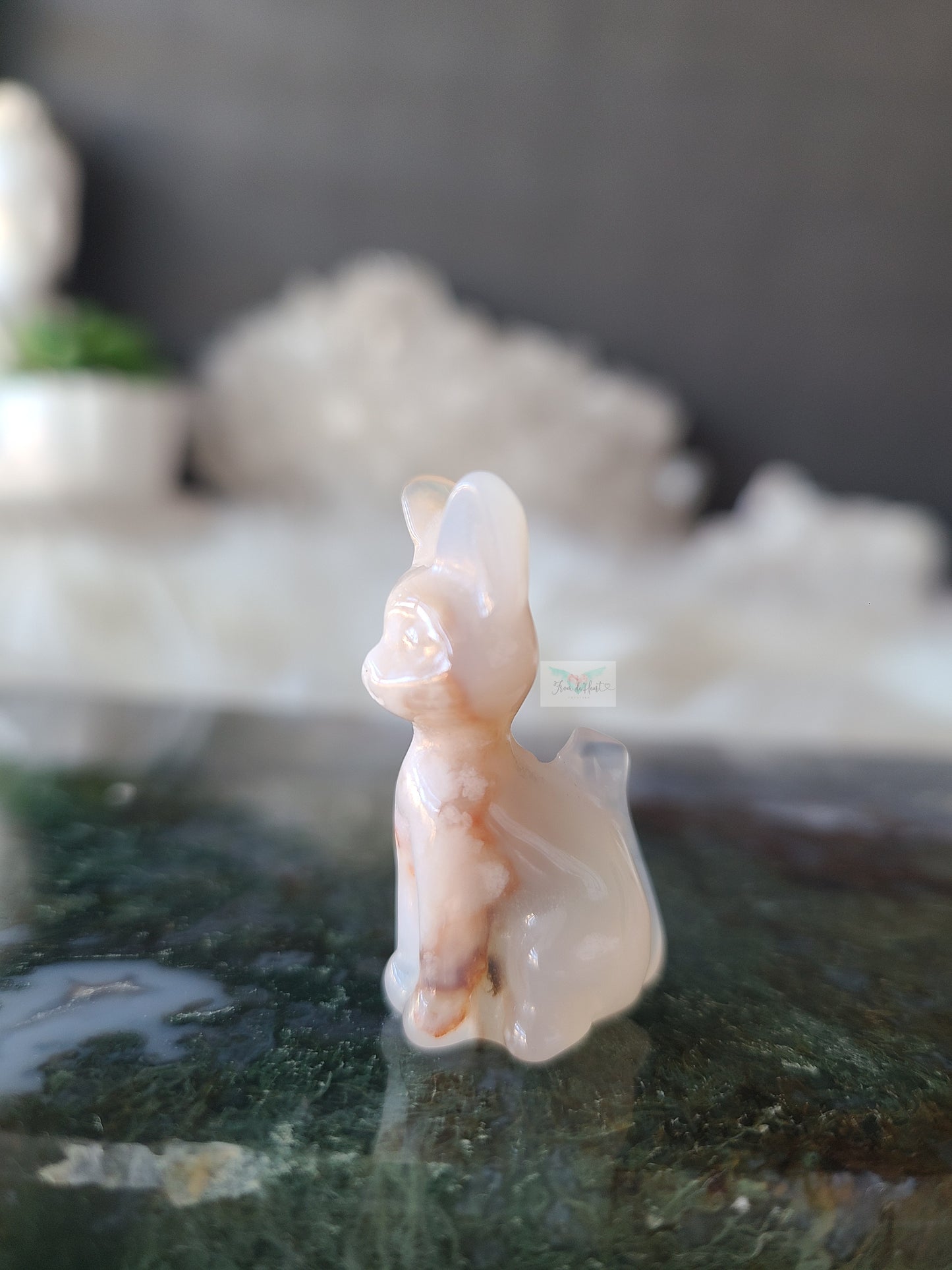 Flower Agate Kitten (A)