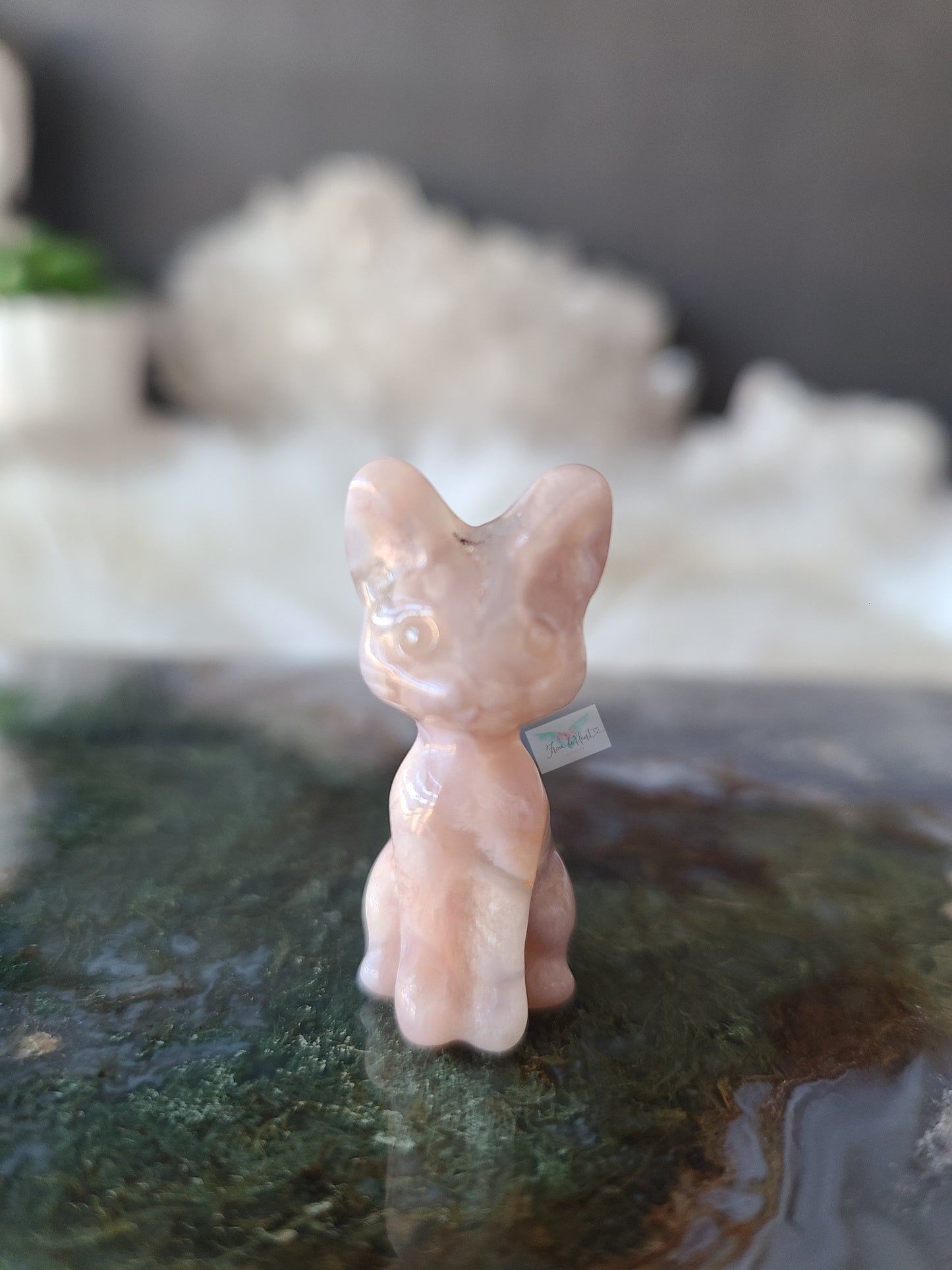 Flower Agate Kitten (C)
