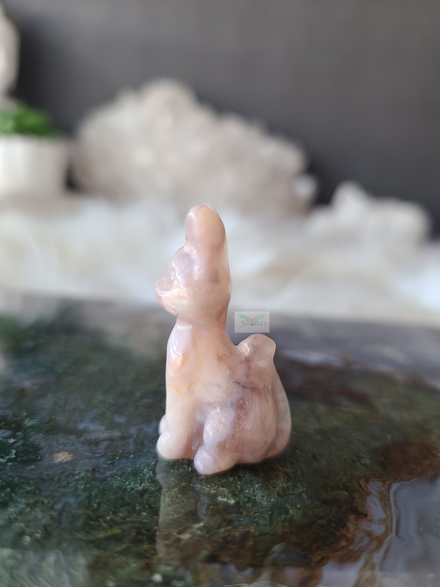 Flower Agate Kitten (C)