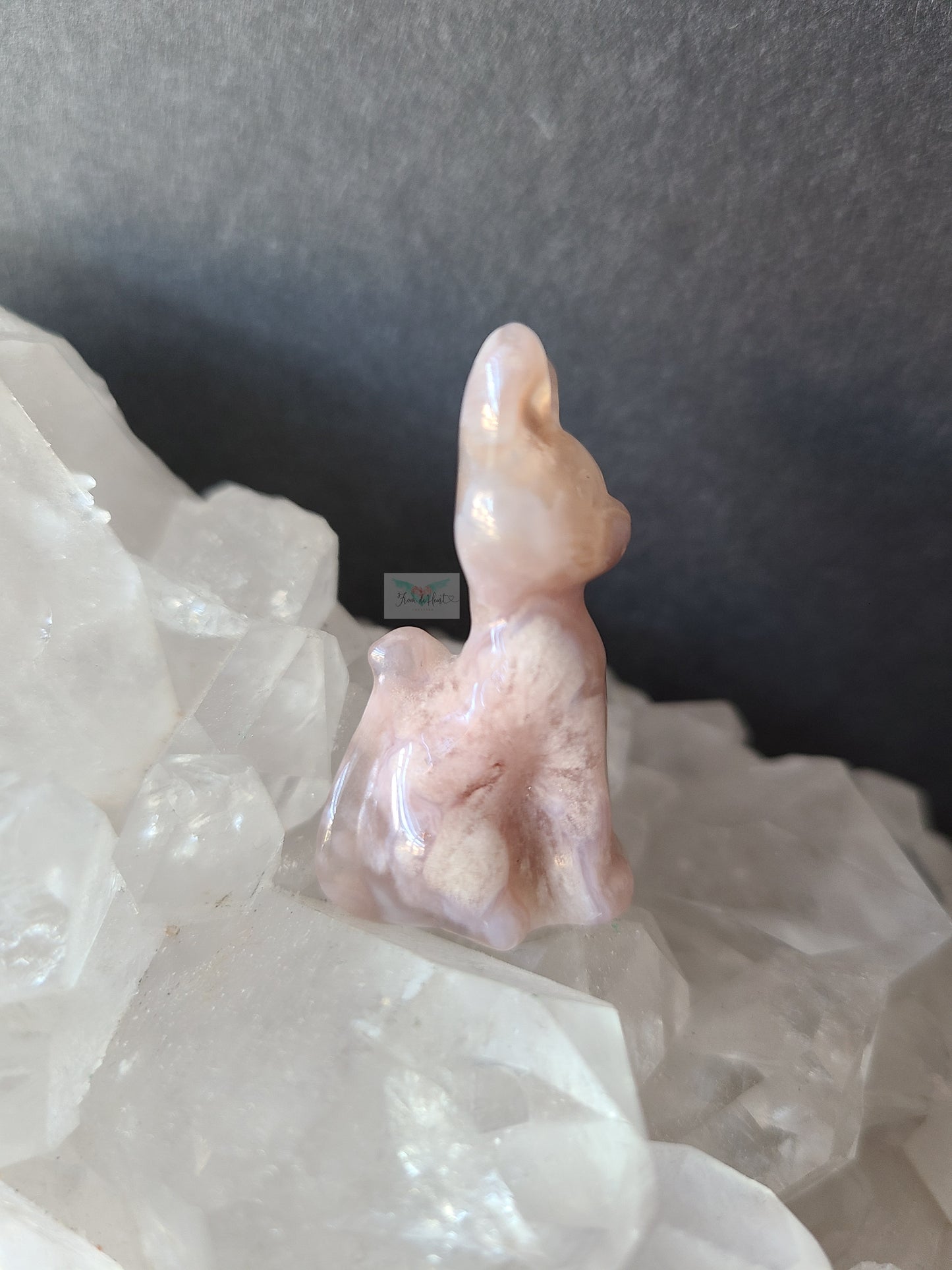 Flower Agate Kitten (C)