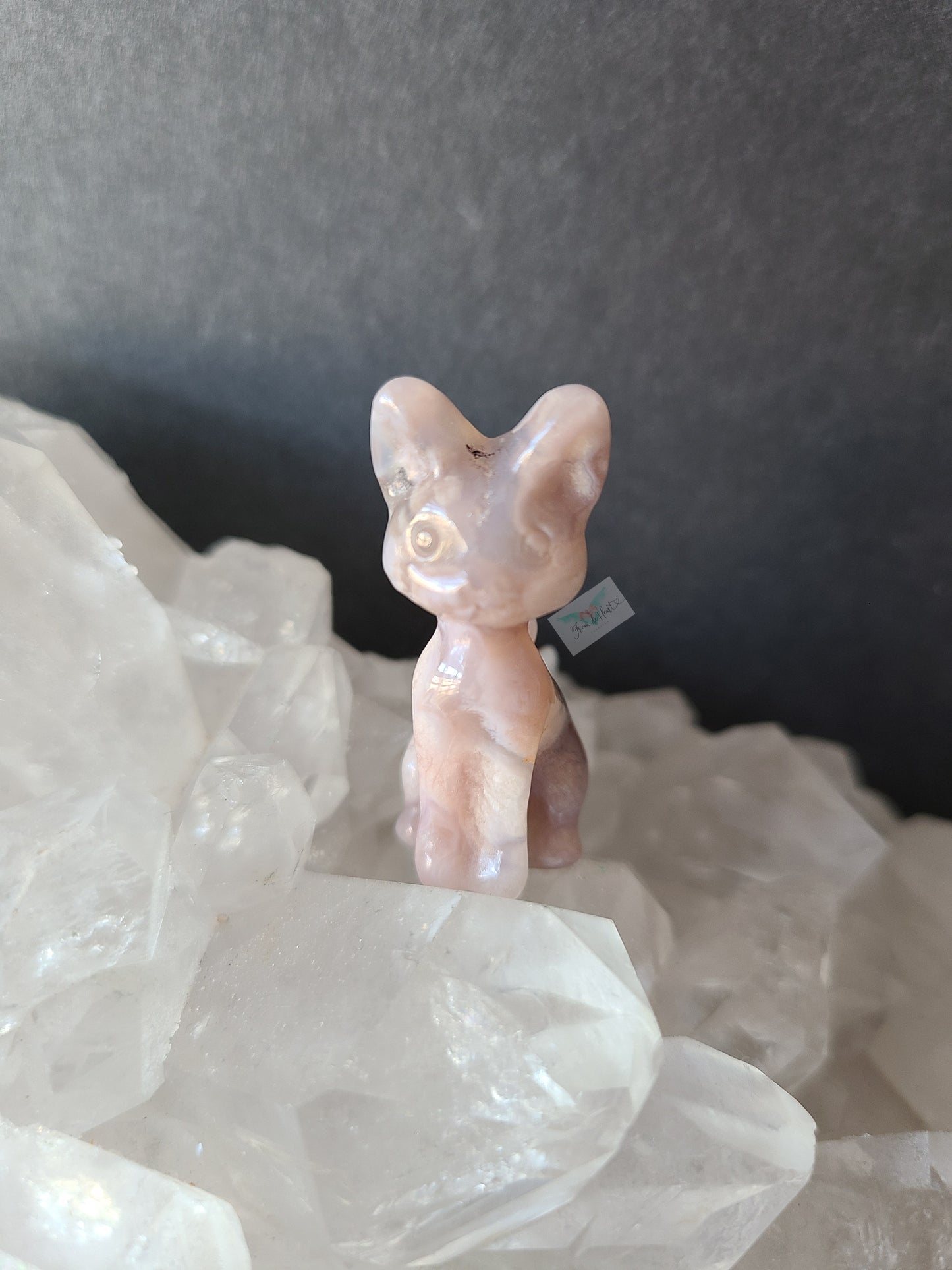 Flower Agate Kitten (C)