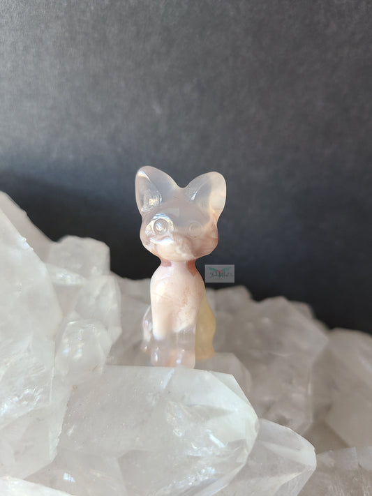 Flower Agate Kitten (D)