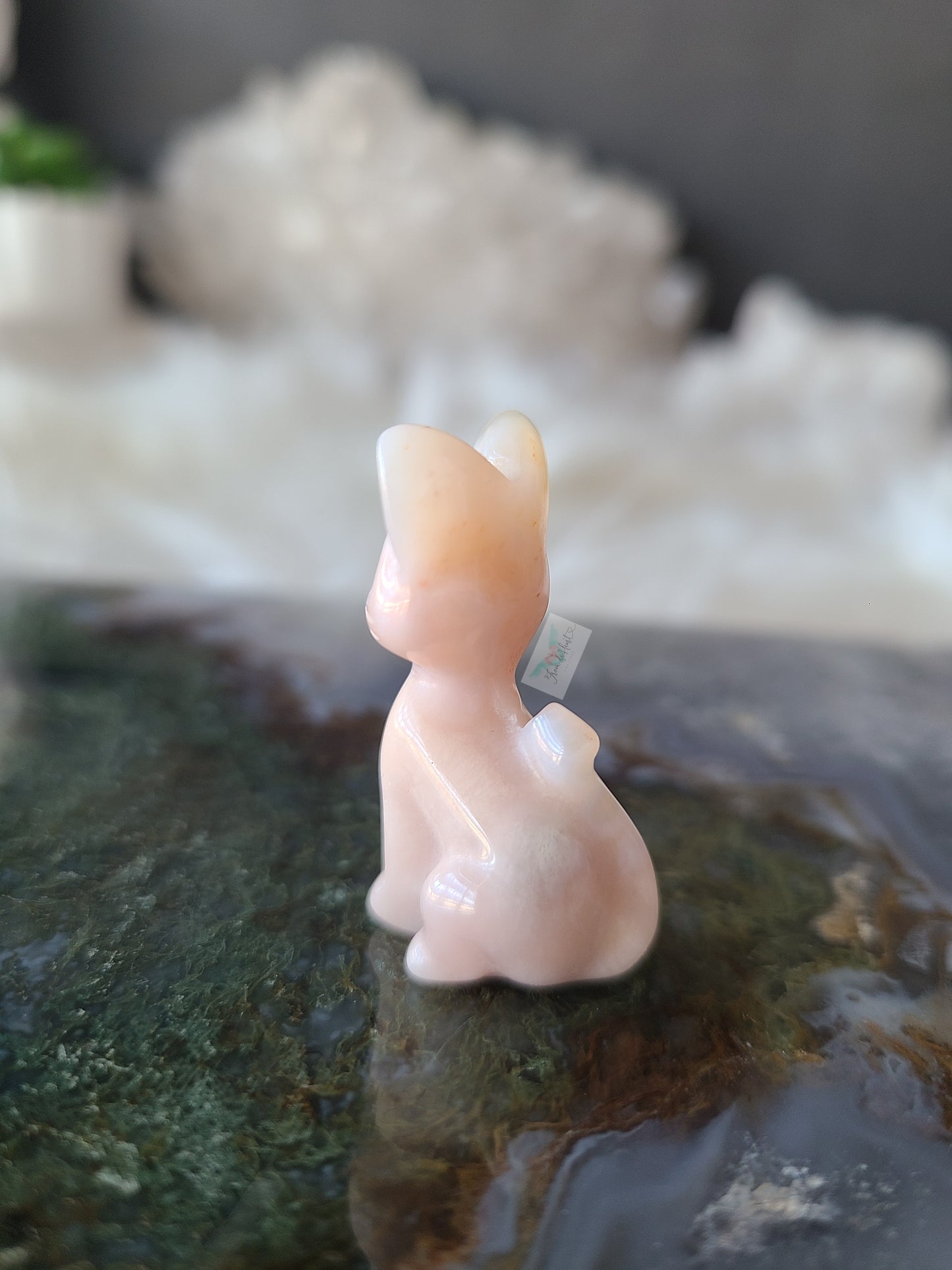 Flower Agate Kitten (E)