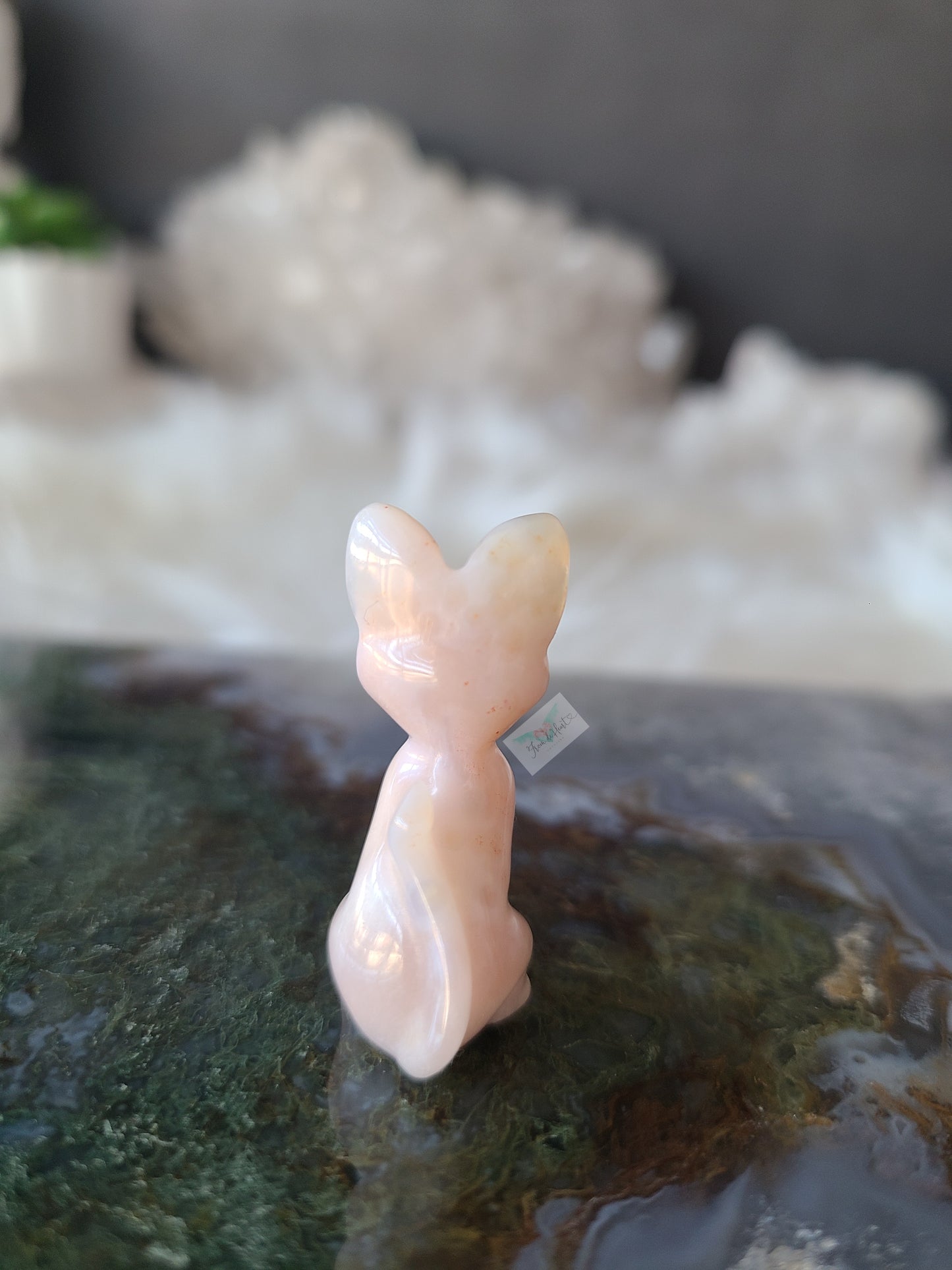 Flower Agate Kitten (E)