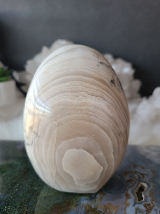 White Banded Ocean Jasper with Dendrite Freeform