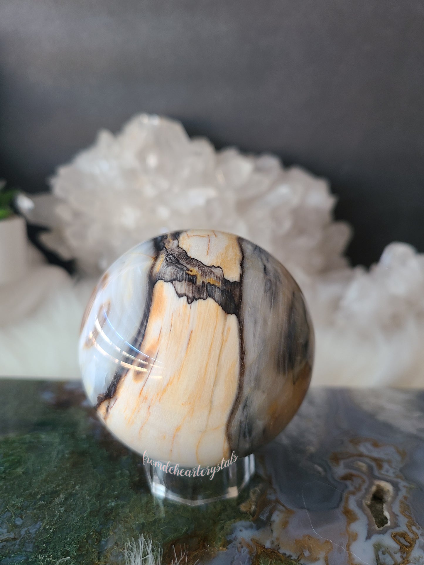 Petrified Wood Sphere
